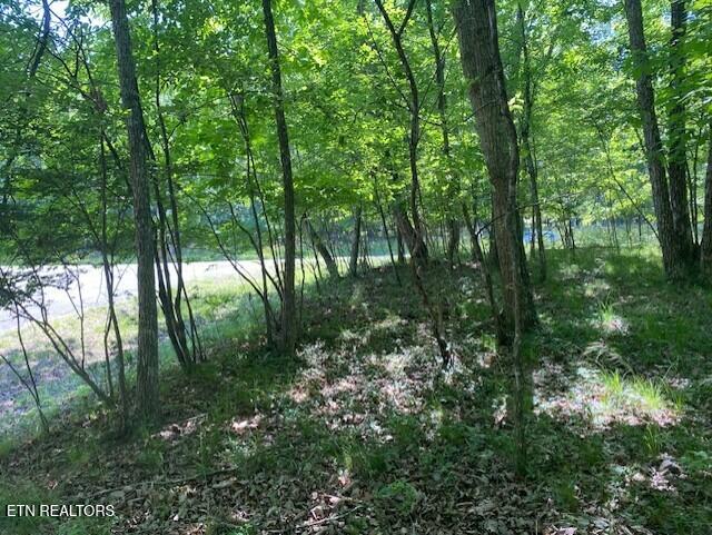 11 Rolling Green Circle Crossville TN 38558