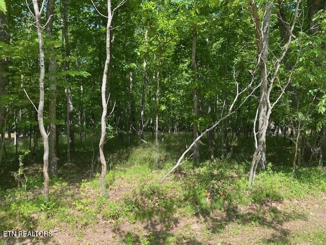 11 Rolling Green Circle Crossville TN 38558
