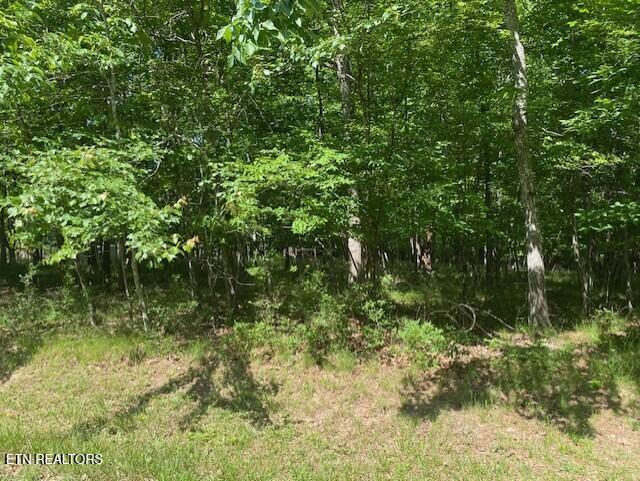 11 Rolling Green Circle Crossville TN 38558