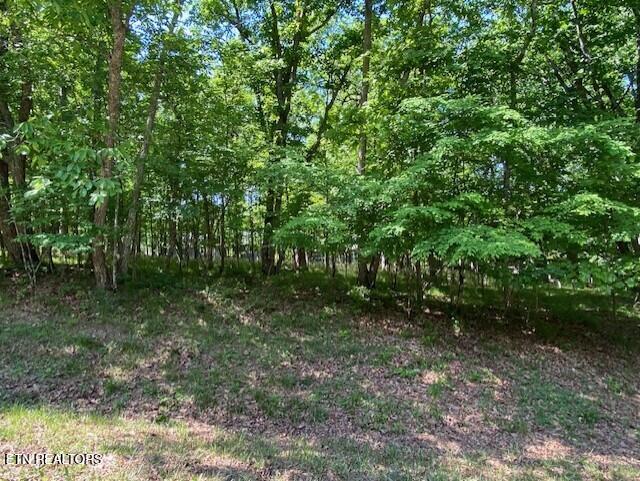 11 Rolling Green Circle Crossville TN 38558
