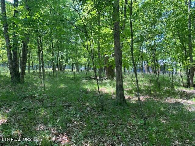 11 Rolling Green Circle Crossville TN 38558