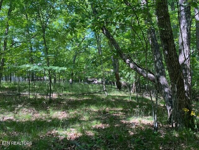 11 Rolling Green Circle Crossville TN 38558