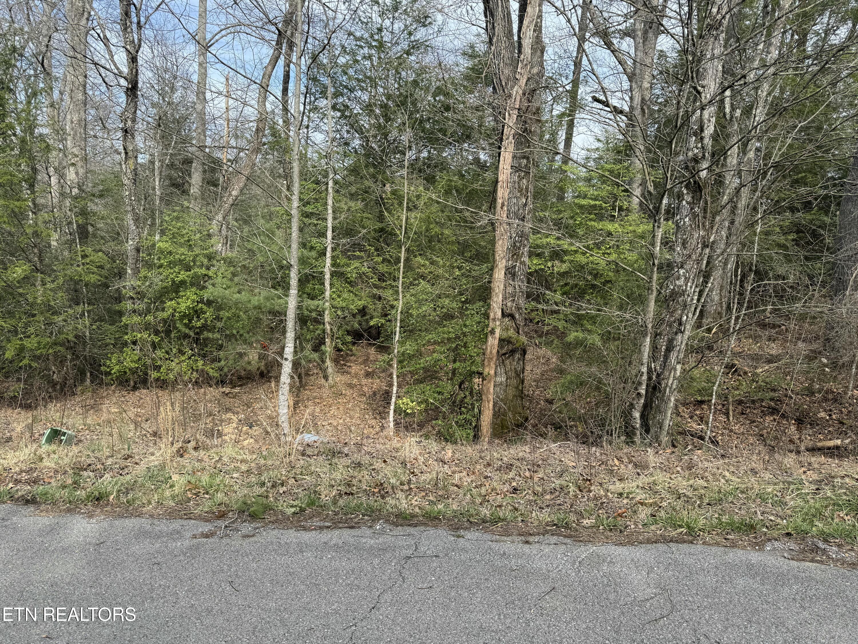 Ferry Bend Trail Crossville TN 38571