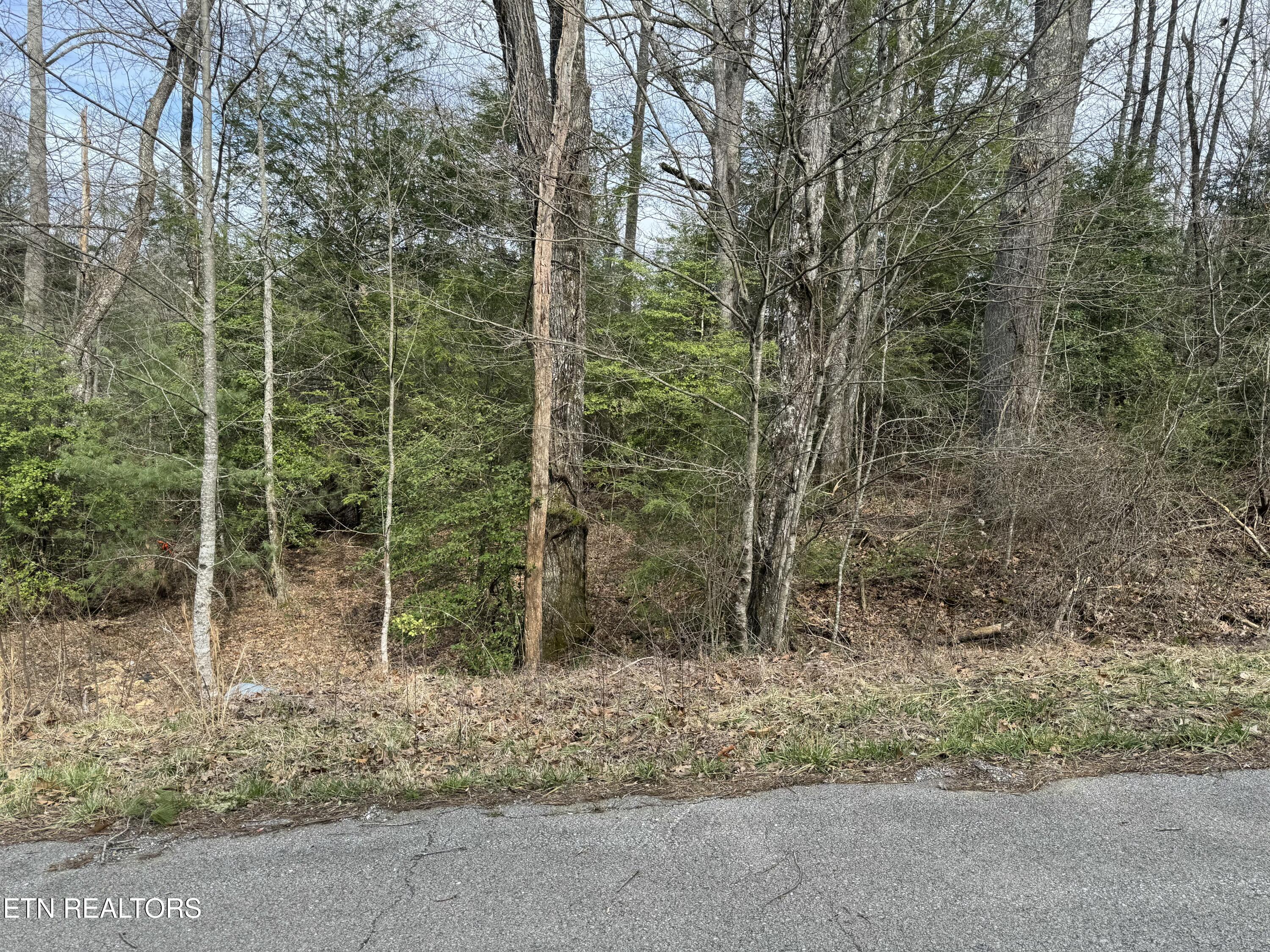 Ferry Bend Trail Crossville TN 38571