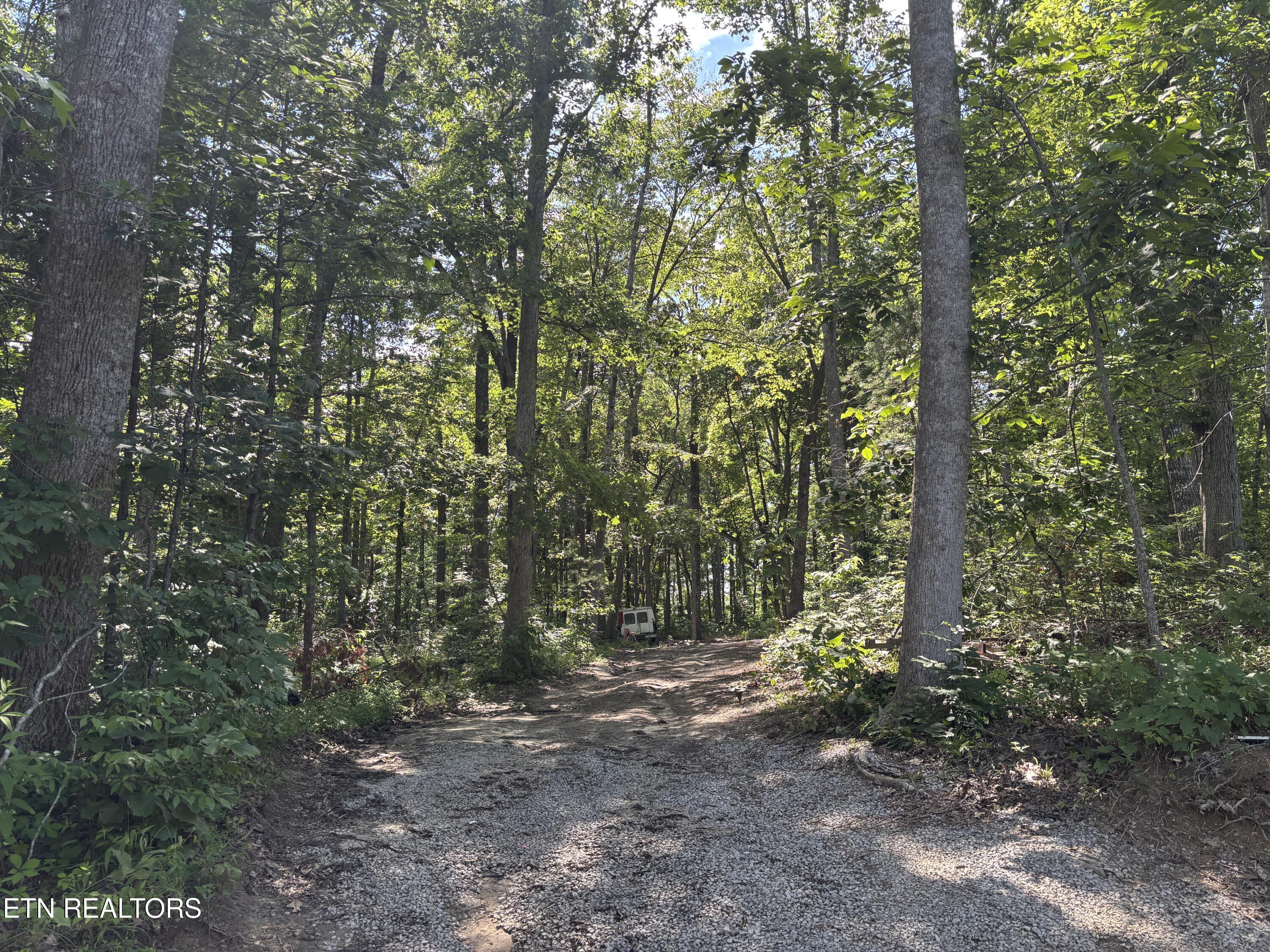 Tresa Street Crossville TN 38572