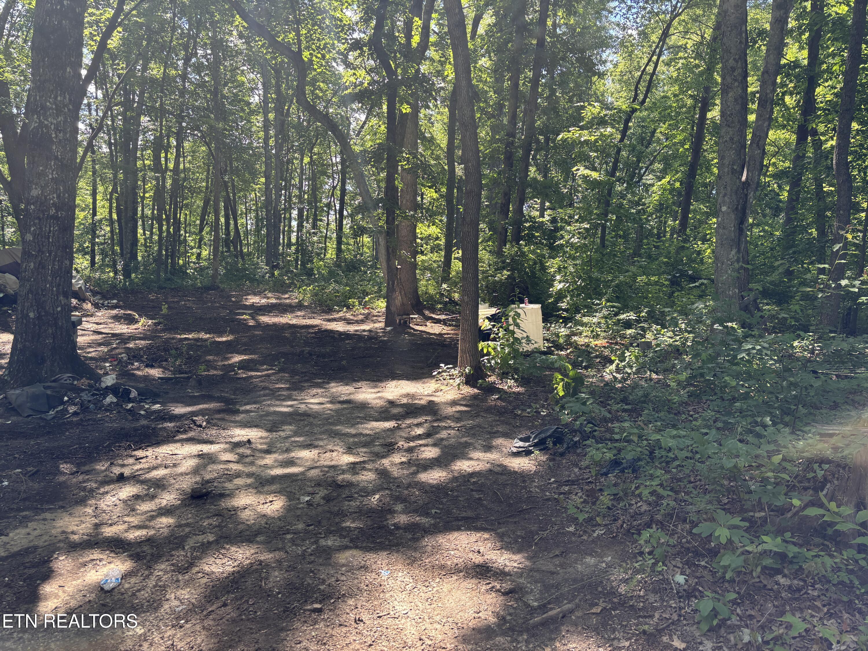 Tresa Street Crossville TN 38572