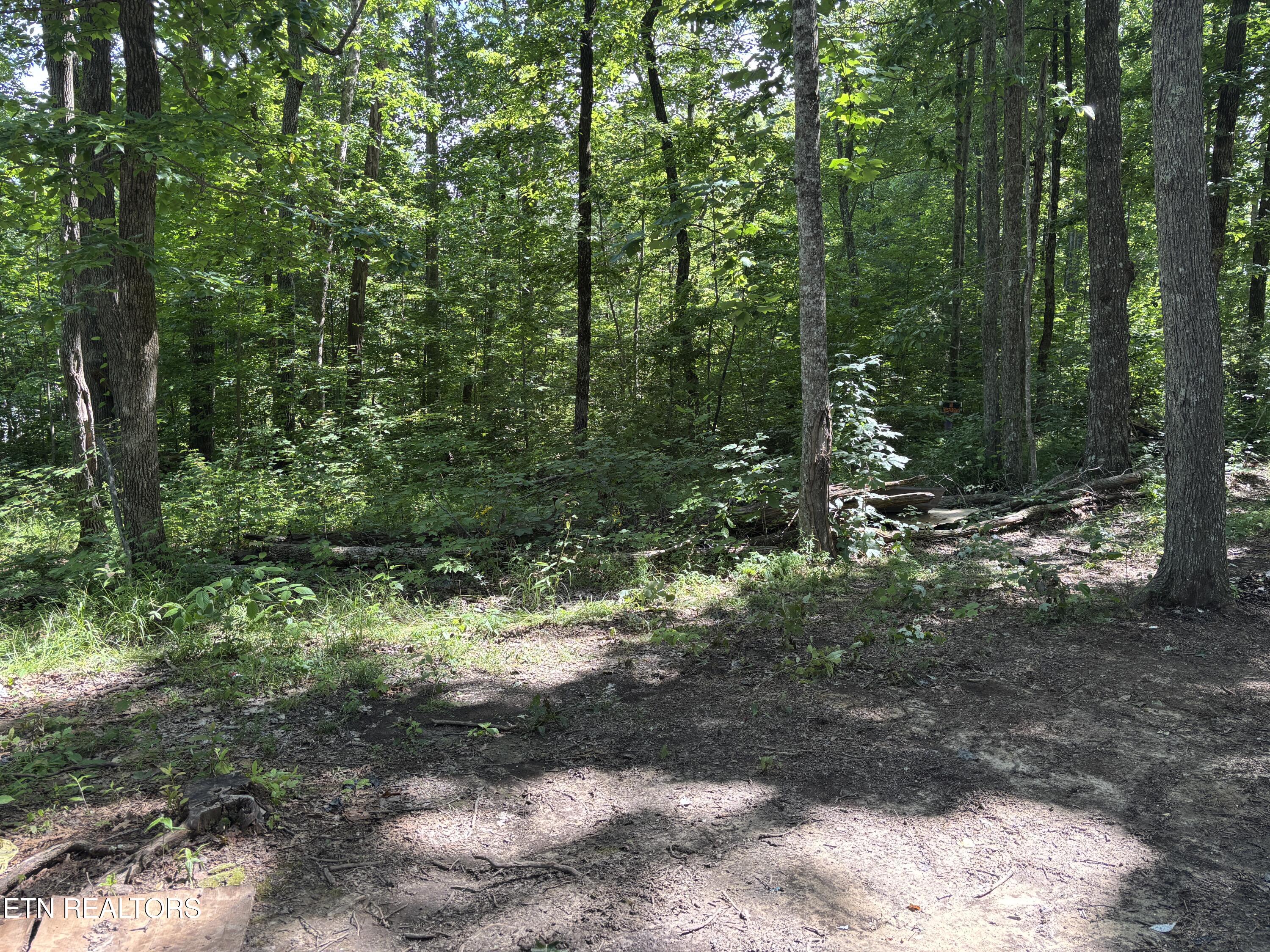 Tresa Street Crossville TN 38572