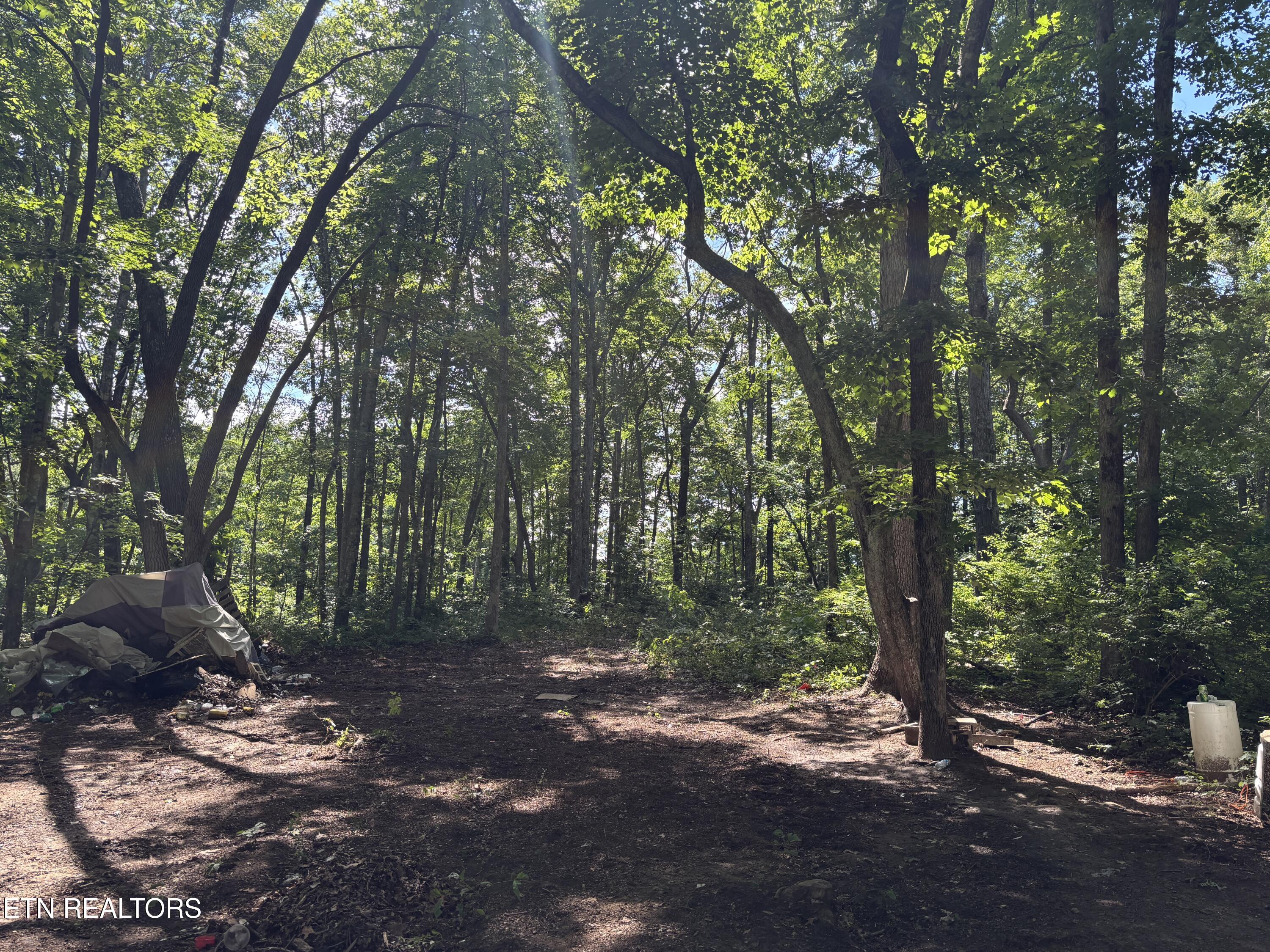 Tresa Street Crossville TN 38572