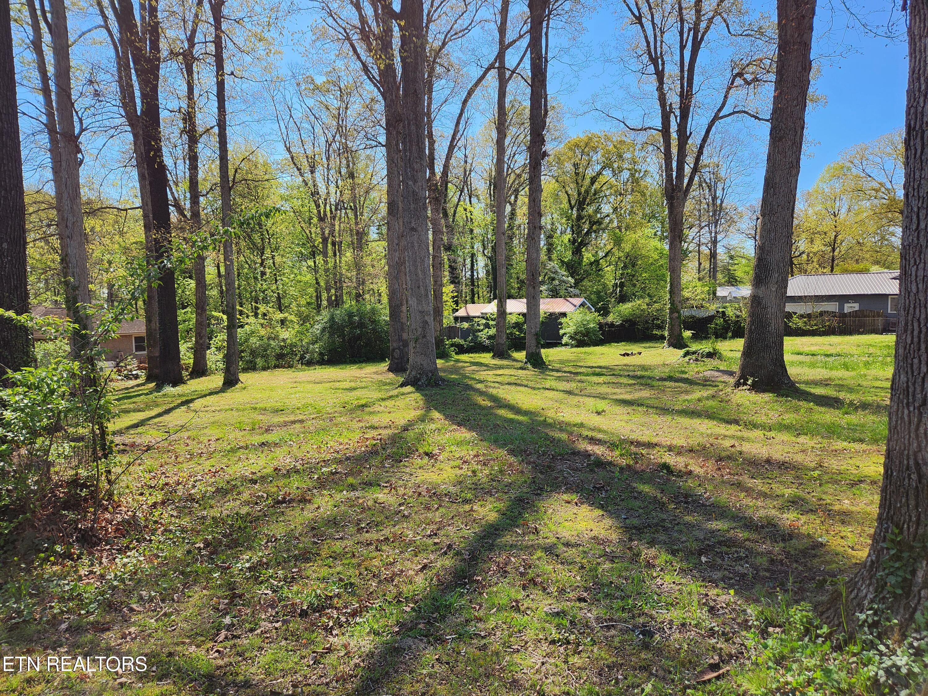4518 Lonas Drive Knoxville TN 37909