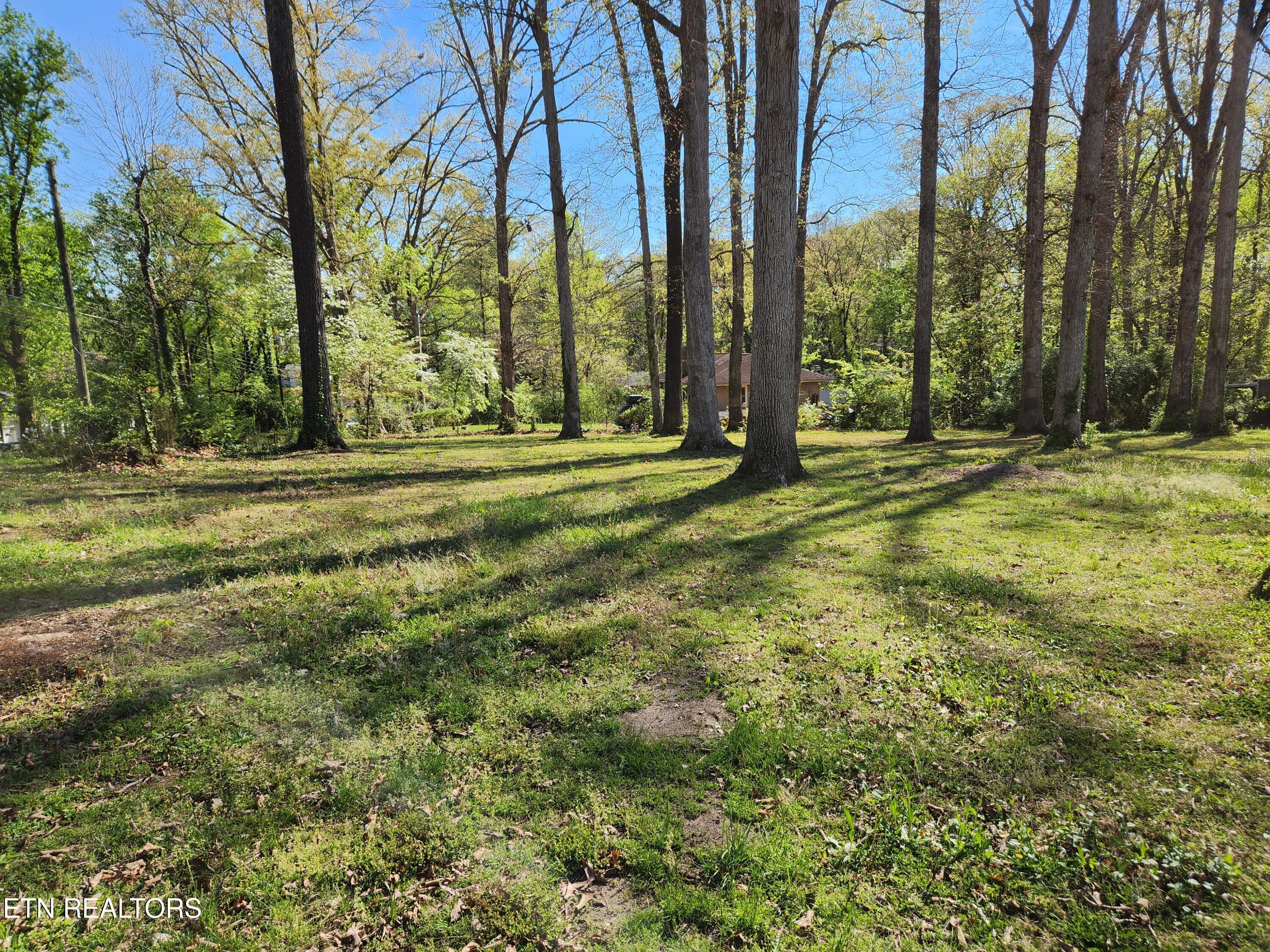 4518 Lonas Drive Knoxville TN 37909
