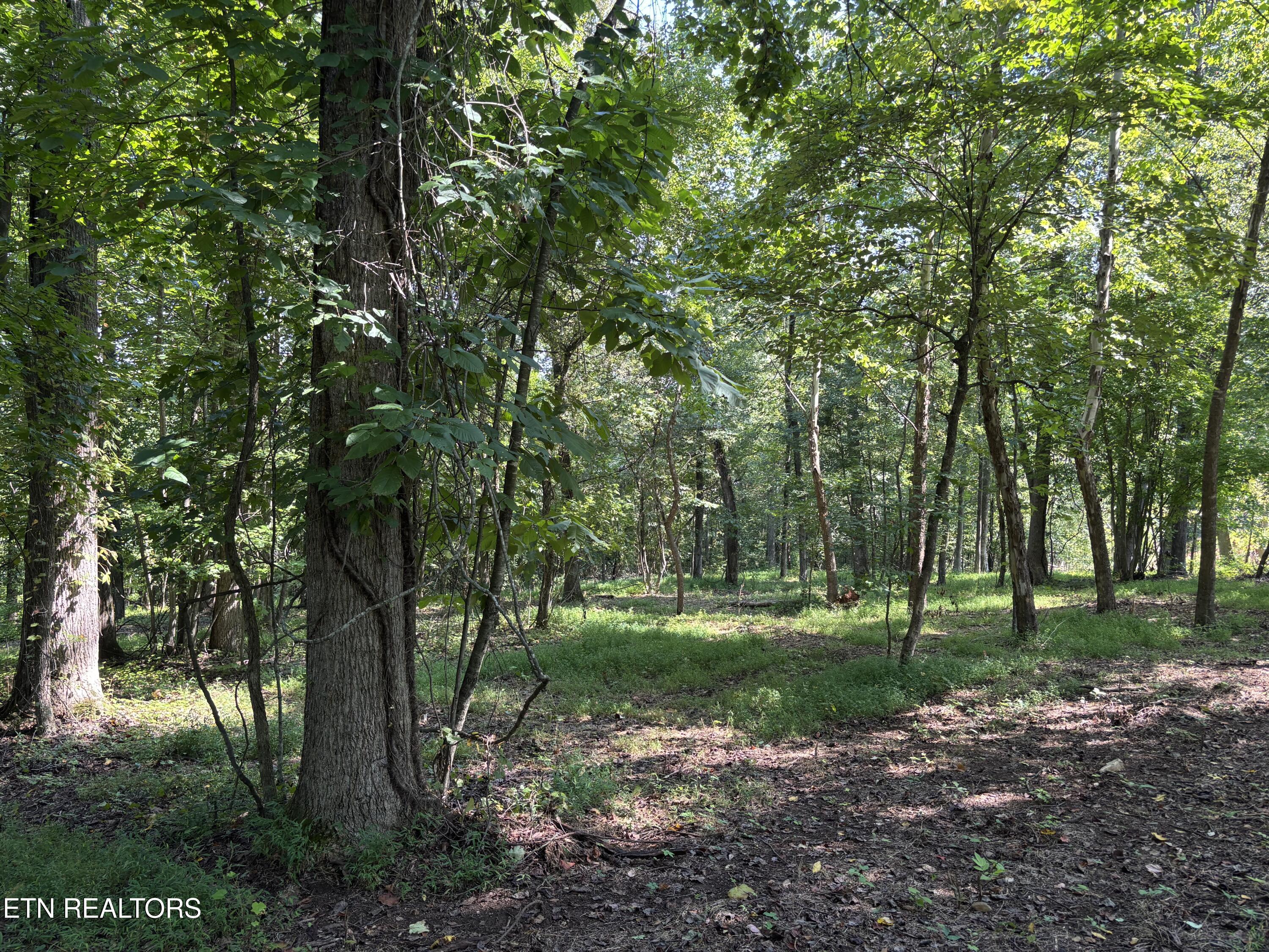 371 Walking Horse Trail Rockwood TN 37854