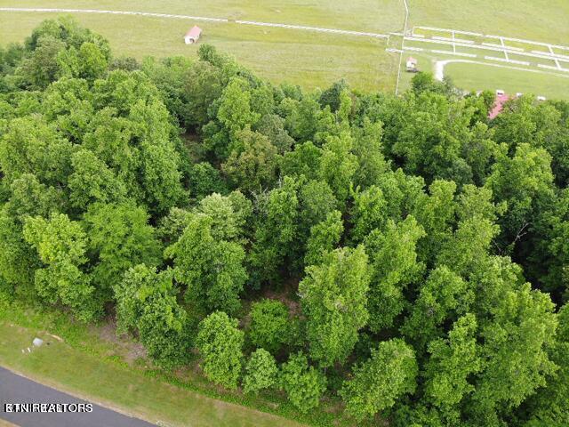 371 Walking Horse Trail Rockwood TN 37854