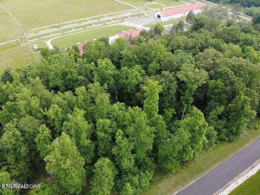 371 Walking Horse Trail Rockwood TN 37854