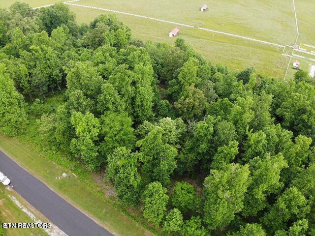 371 Walking Horse Trail Rockwood TN 37854