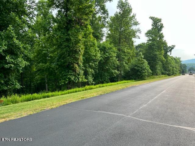371 Walking Horse Trail Rockwood TN 37854