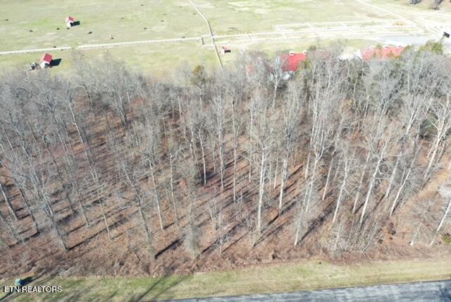 371 Walking Horse Trail Rockwood TN 37854