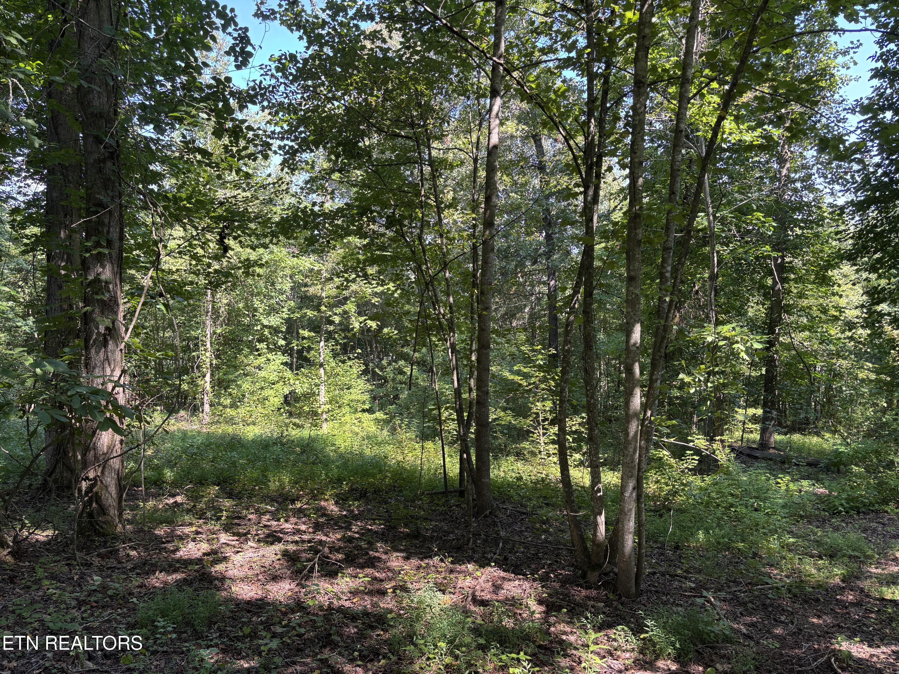 371 Walking Horse Trail Rockwood TN 37854