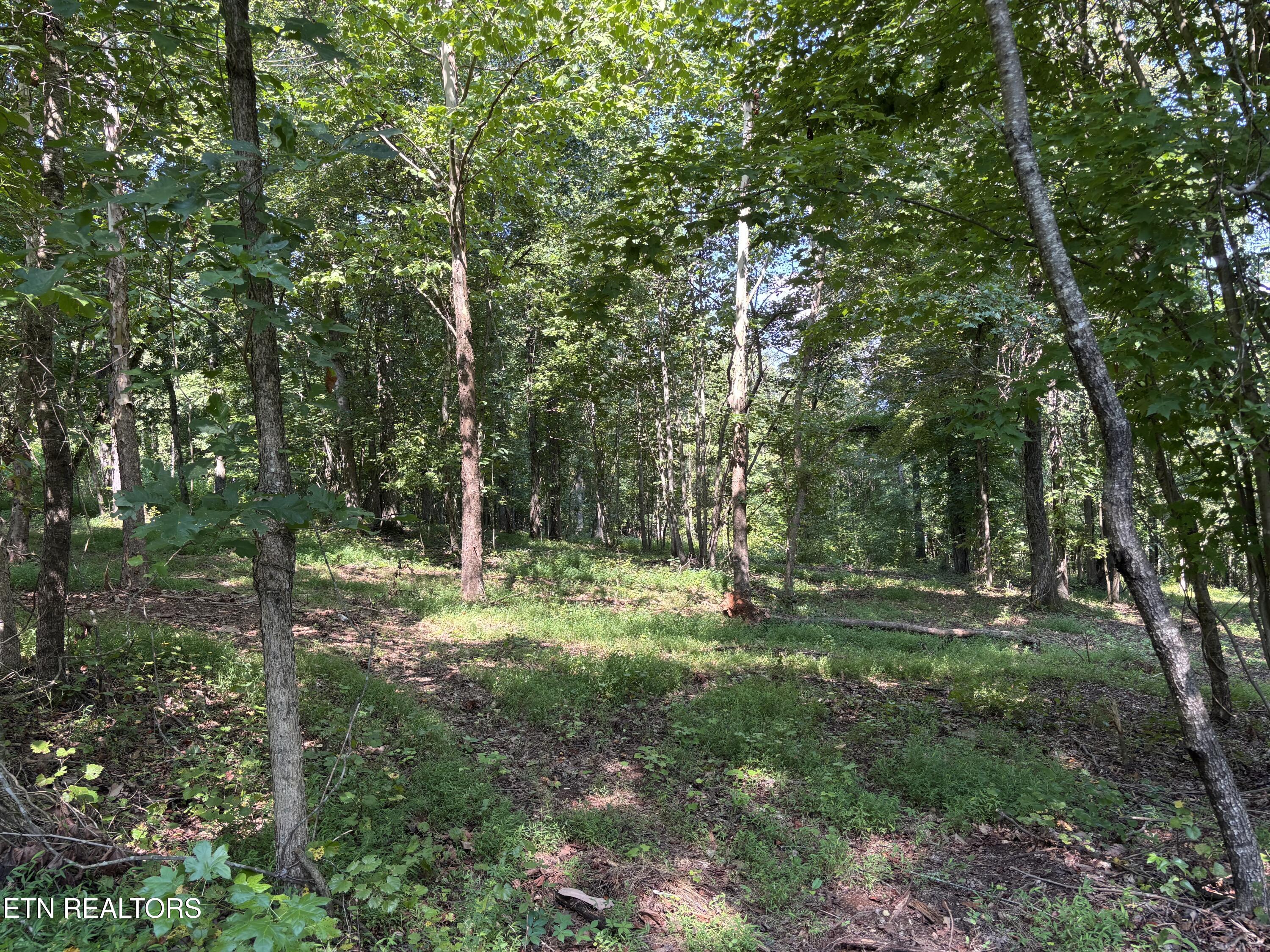 371 Walking Horse Trail Rockwood TN 37854