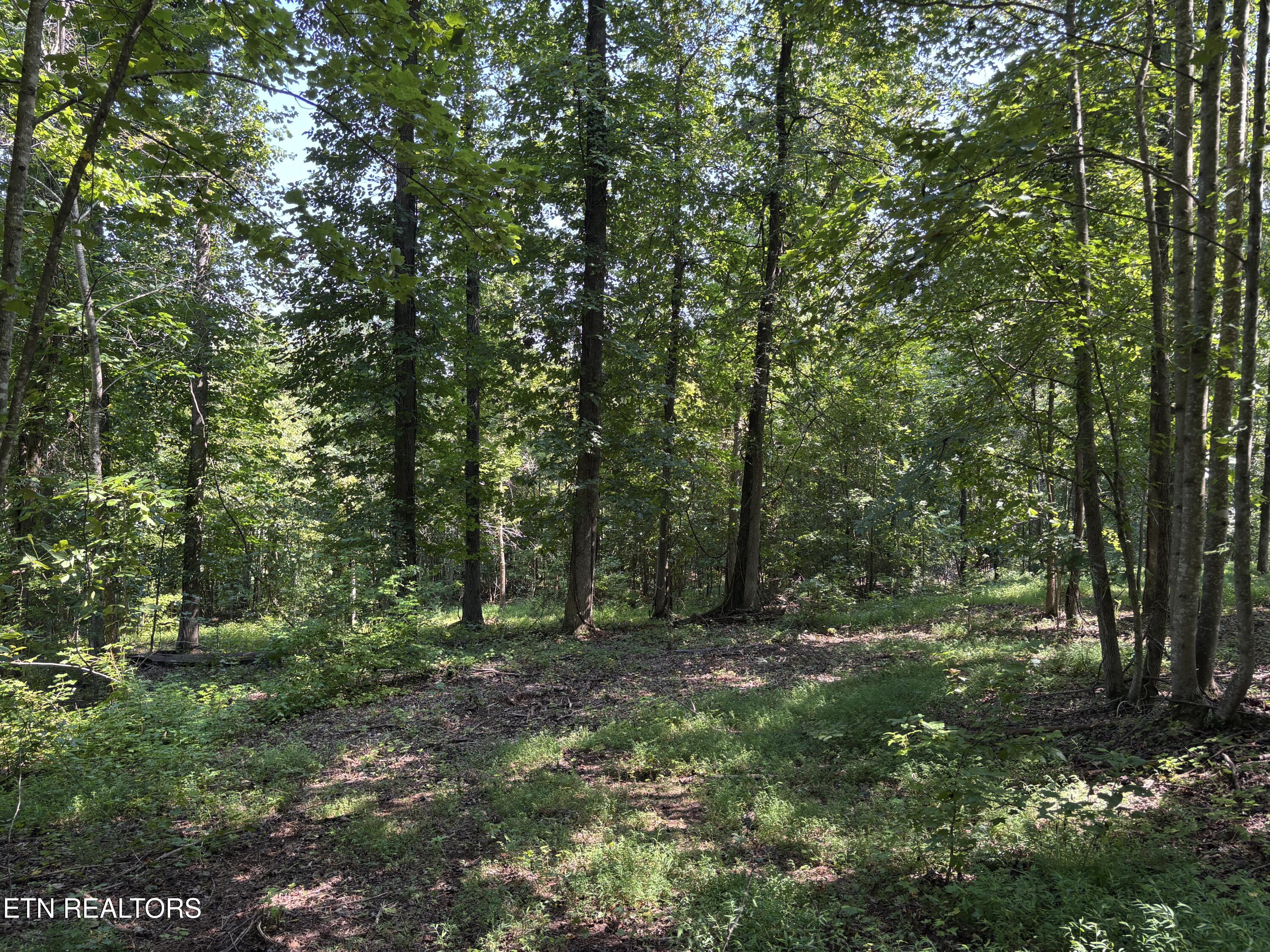 371 Walking Horse Trail Rockwood TN 37854