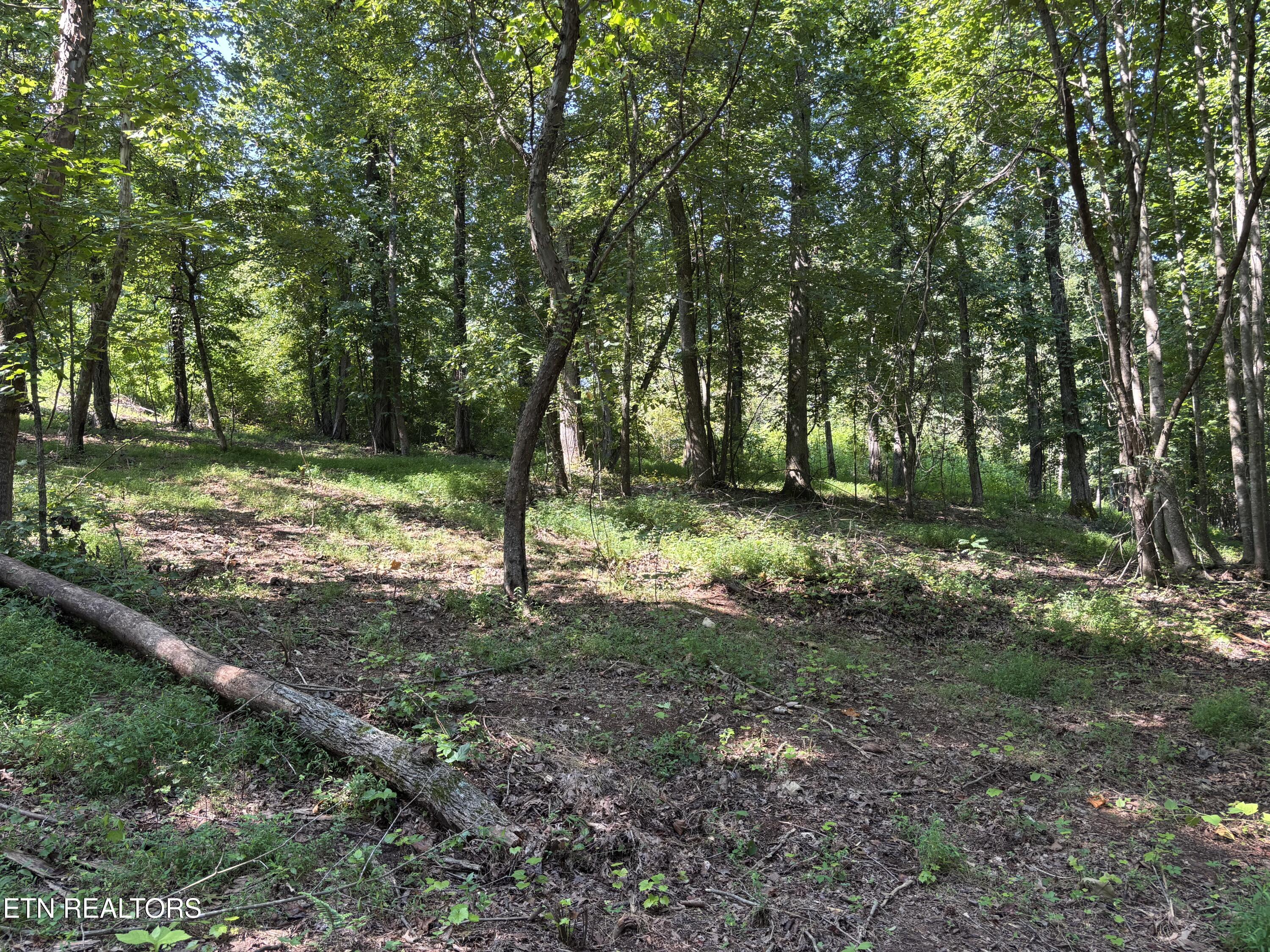 371 Walking Horse Trail Rockwood TN 37854