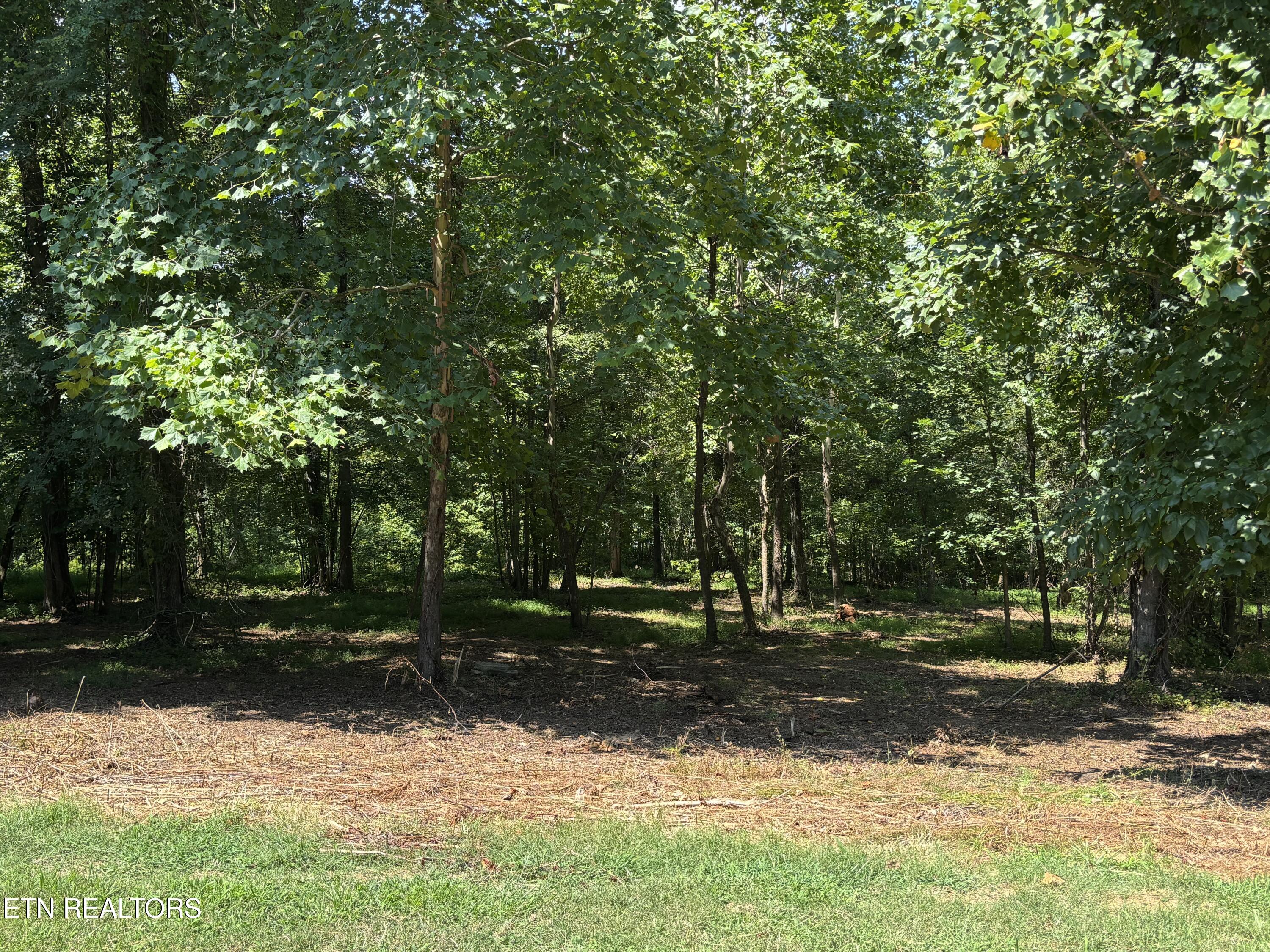 371 Walking Horse Trail Rockwood TN 37854