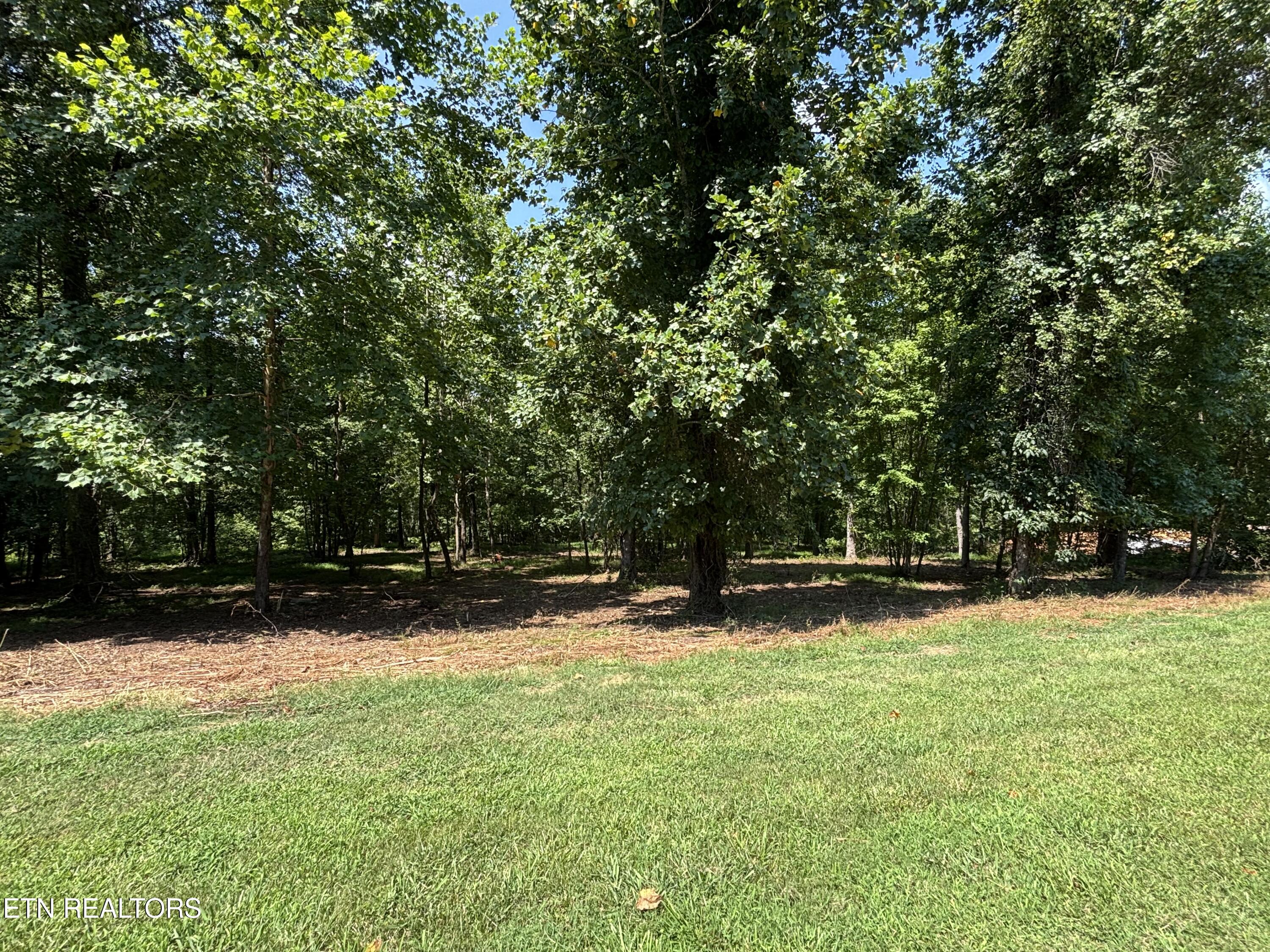 371 Walking Horse Trail Rockwood TN 37854