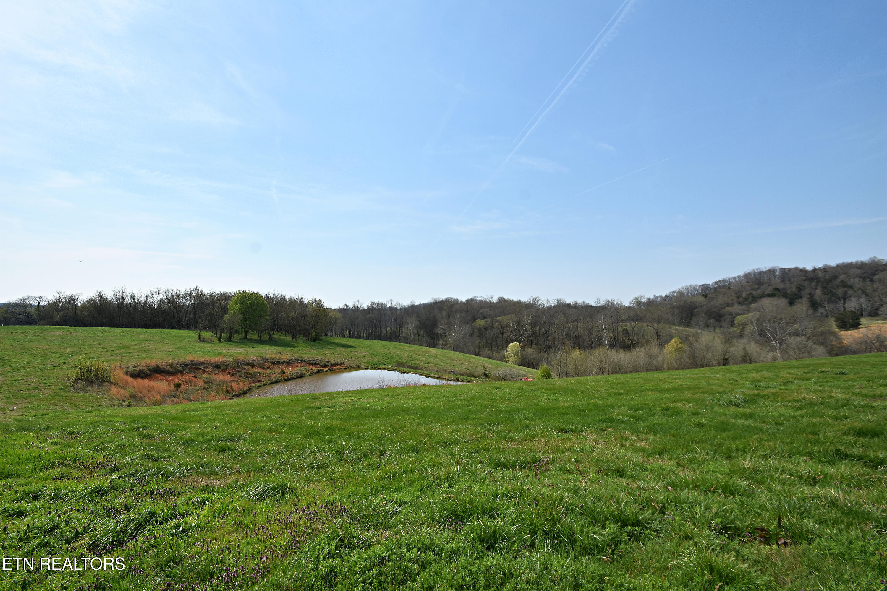747 Stone Road Blaine TN 37709