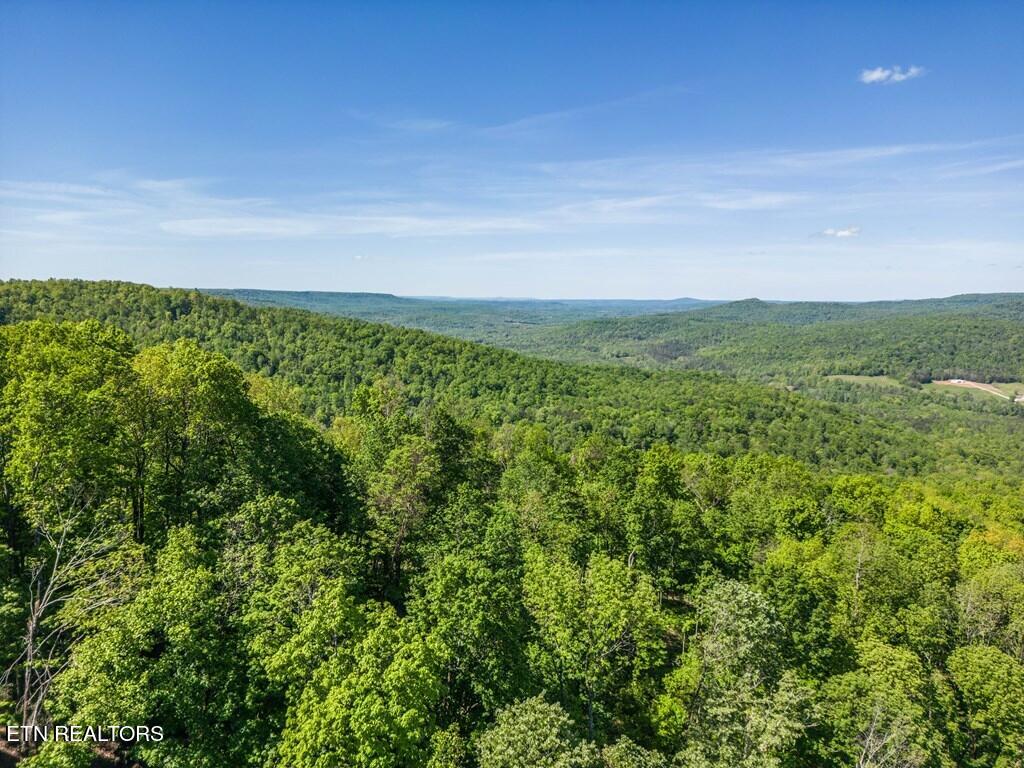 1131 Moss Bend Trail Monterey TN 38574