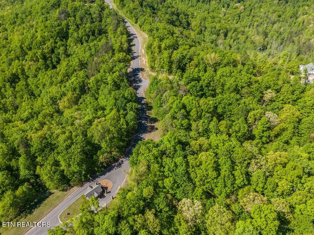 1131 Moss Bend Trail Monterey TN 38574