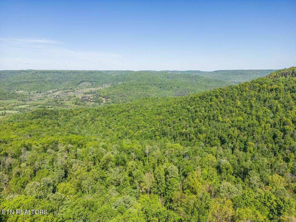 1131 Moss Bend Trail Monterey TN 38574