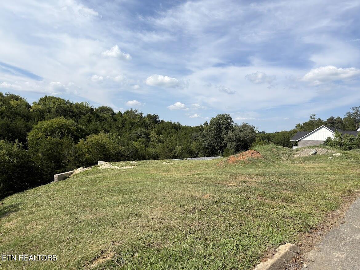 Lot 20 Ally Lane Sevierville TN 37876
