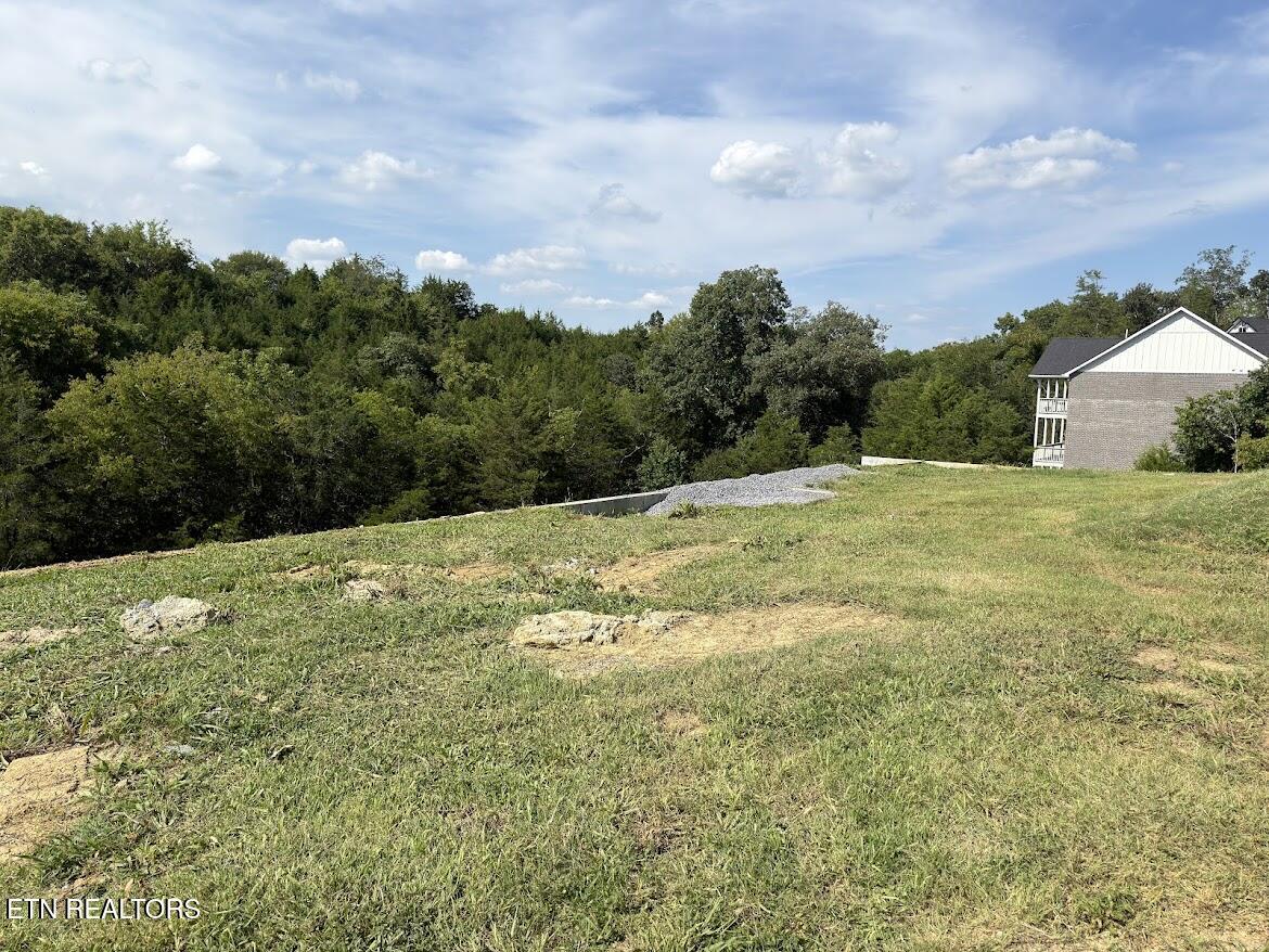 Lot 20 Ally Lane Sevierville TN 37876