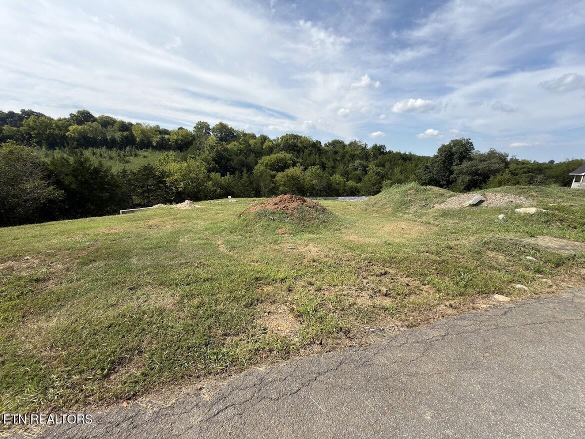 Lot 20 Ally Lane Sevierville TN 37876