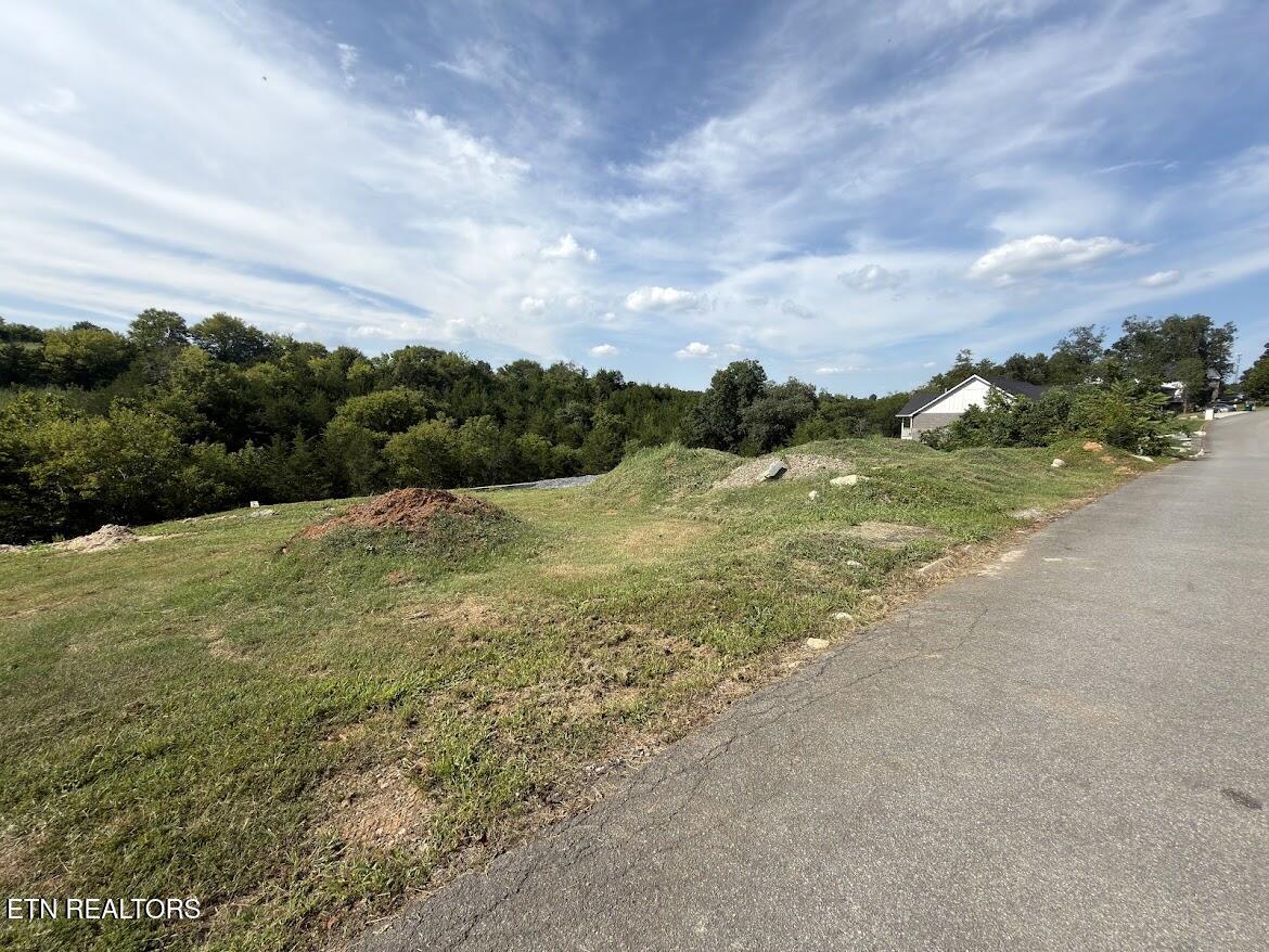 Lot 20 Ally Lane Sevierville TN 37876