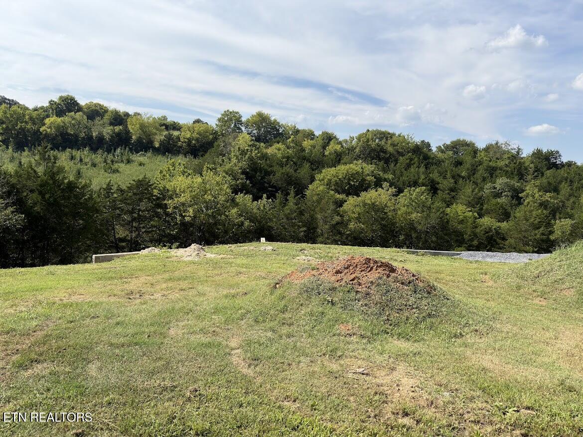 Lot 20 Ally Lane Sevierville TN 37876