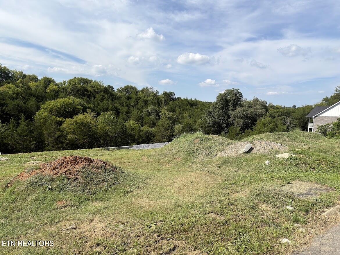Lot 20 Ally Lane Sevierville TN 37876