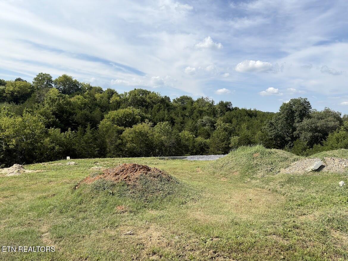 Lot 20 Ally Lane Sevierville TN 37876
