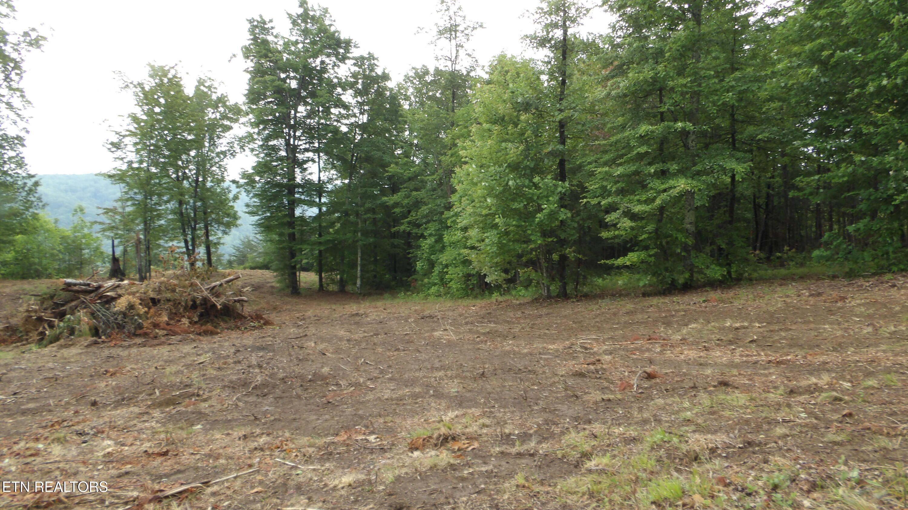 442 Valley View Circle Wilder TN 38589