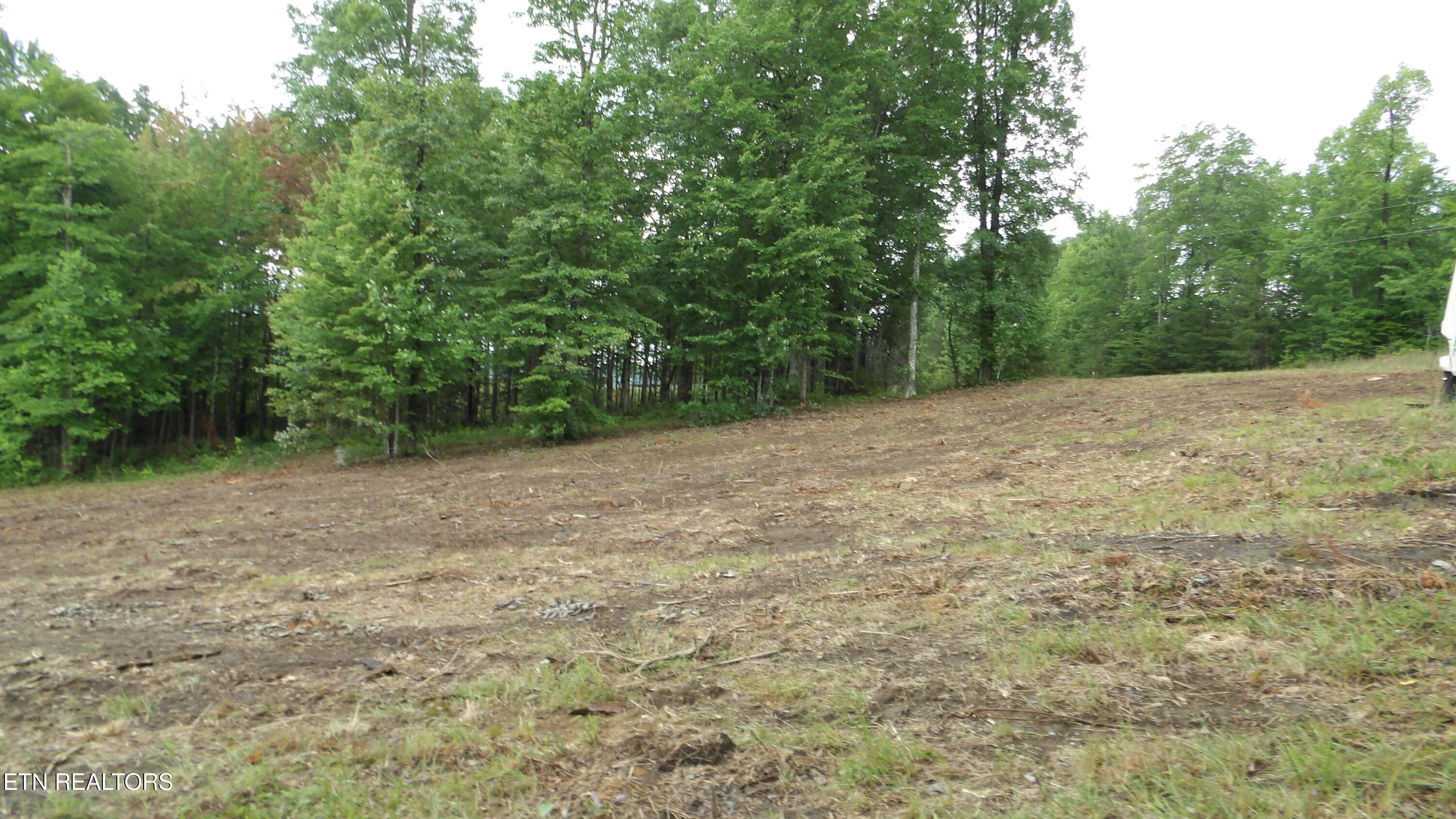 442 Valley View Circle Wilder TN 38589
