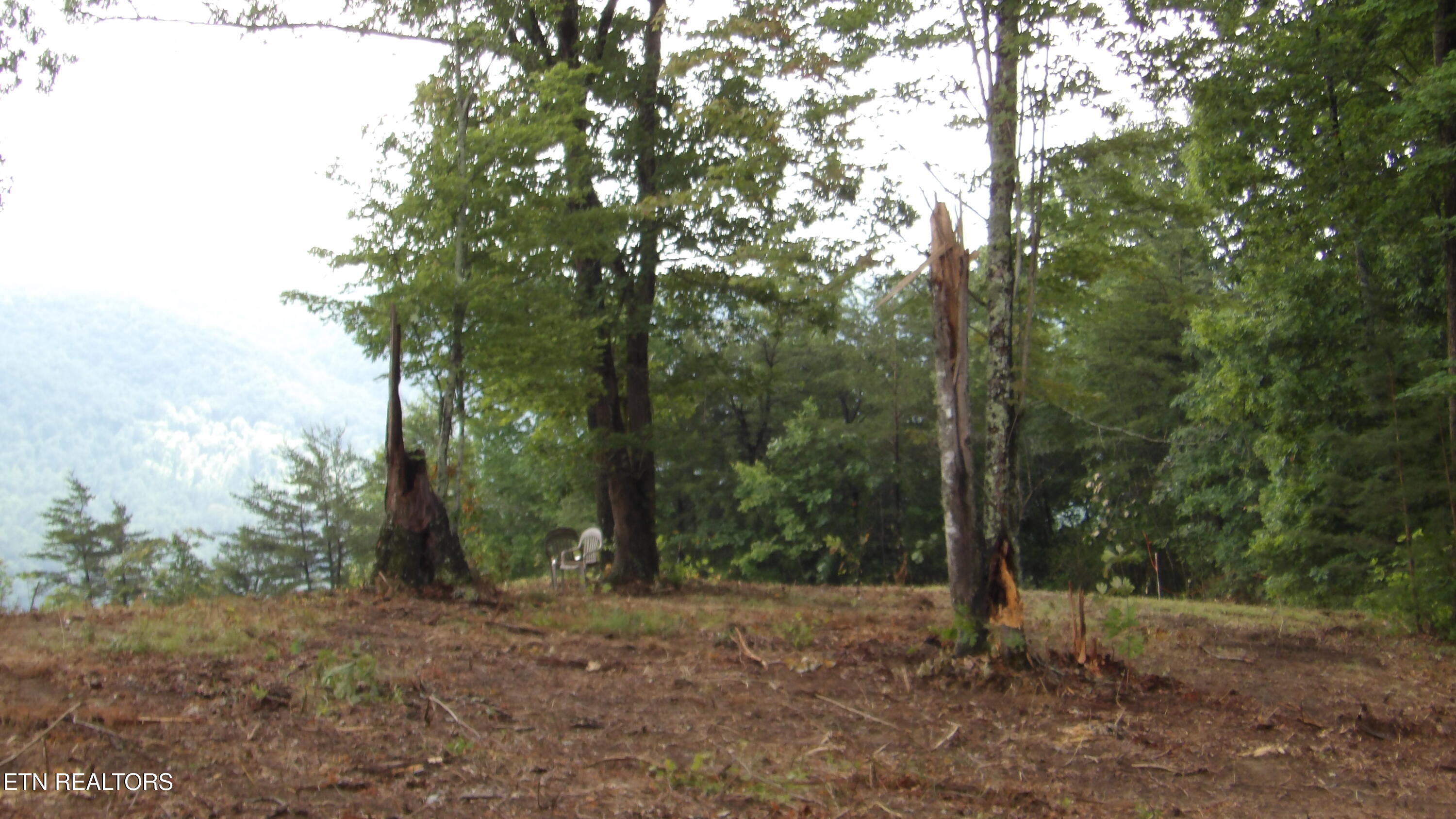 442 Valley View Circle Wilder TN 38589