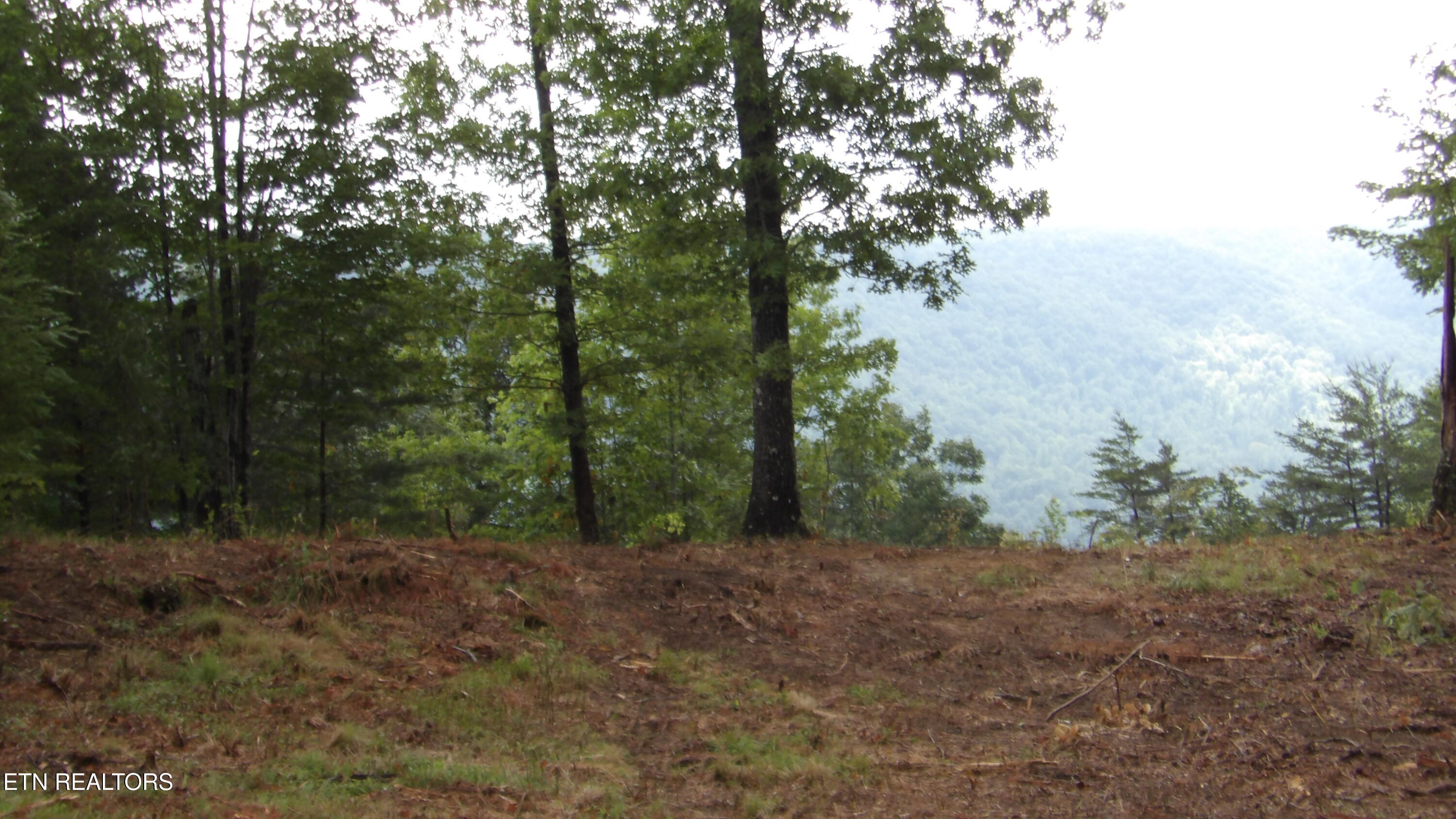 442 Valley View Circle Wilder TN 38589