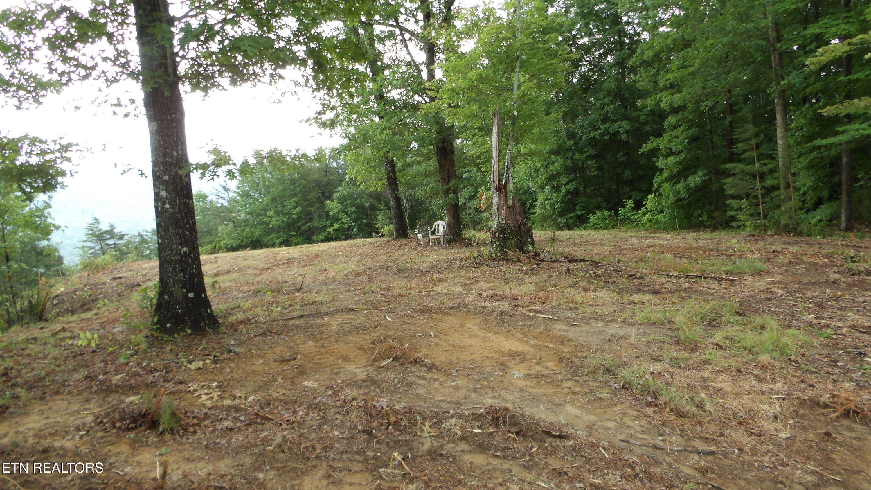 442 Valley View Circle Wilder TN 38589