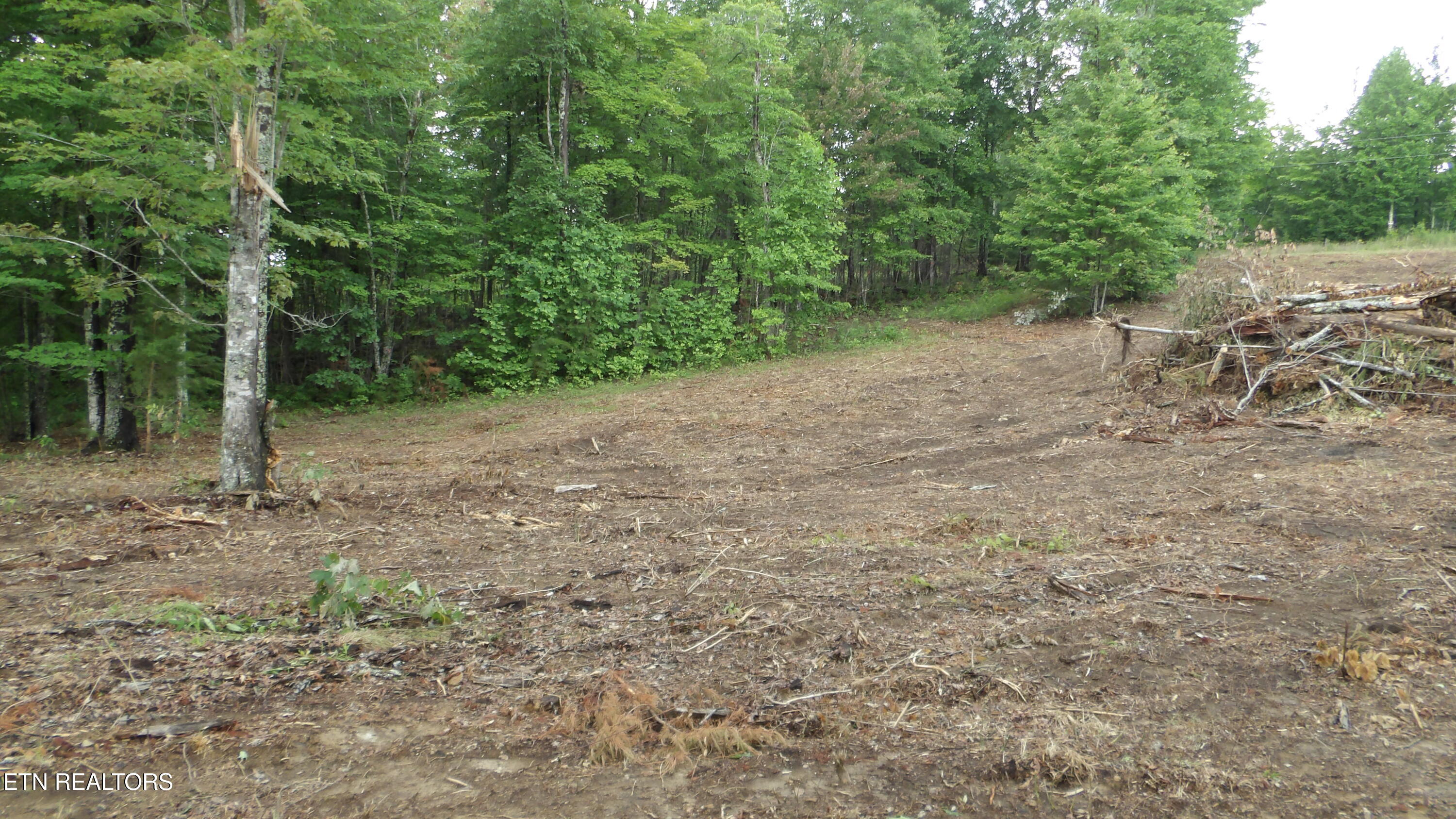 442 Valley View Circle Wilder TN 38589