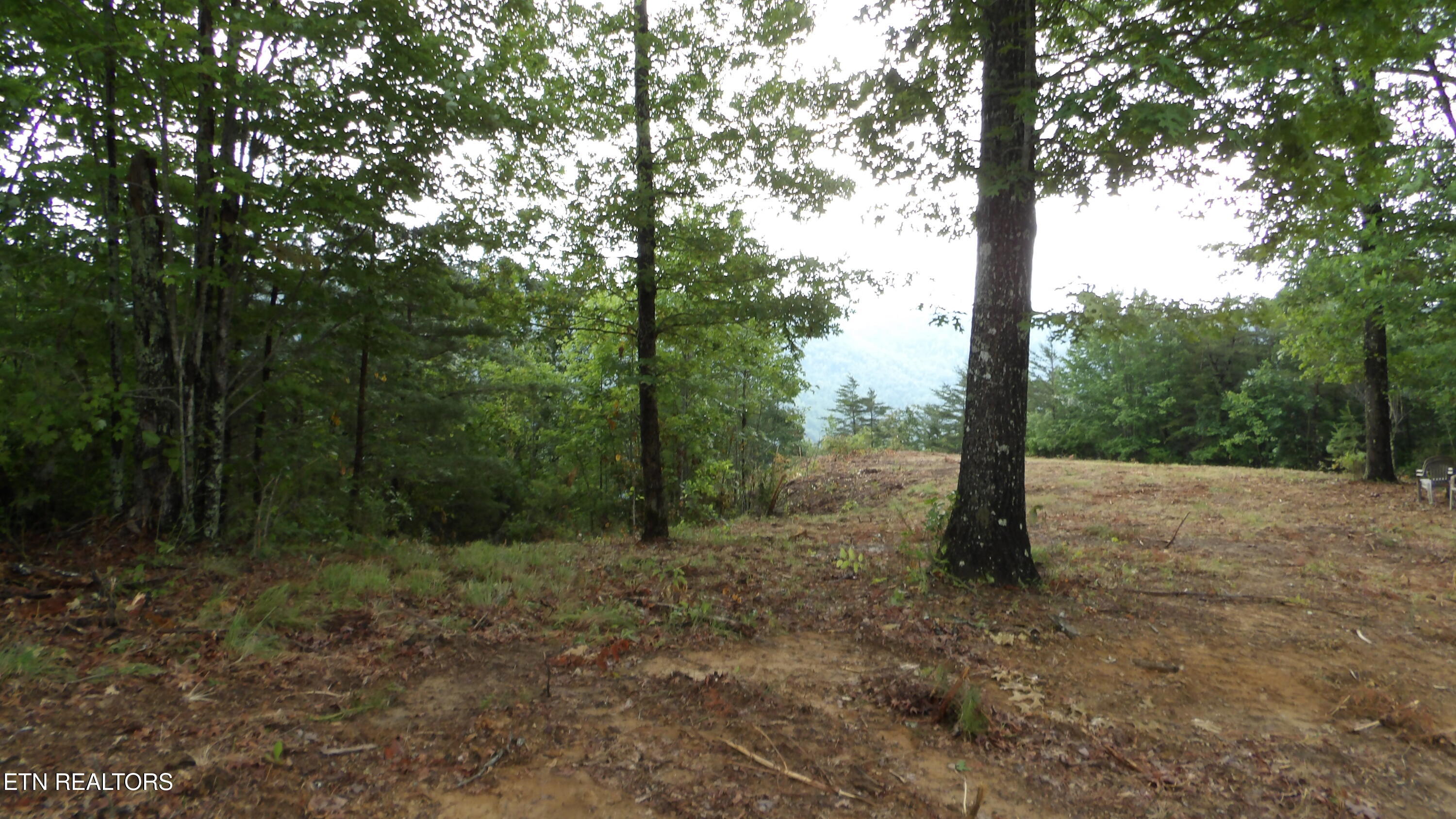 442 Valley View Circle Wilder TN 38589