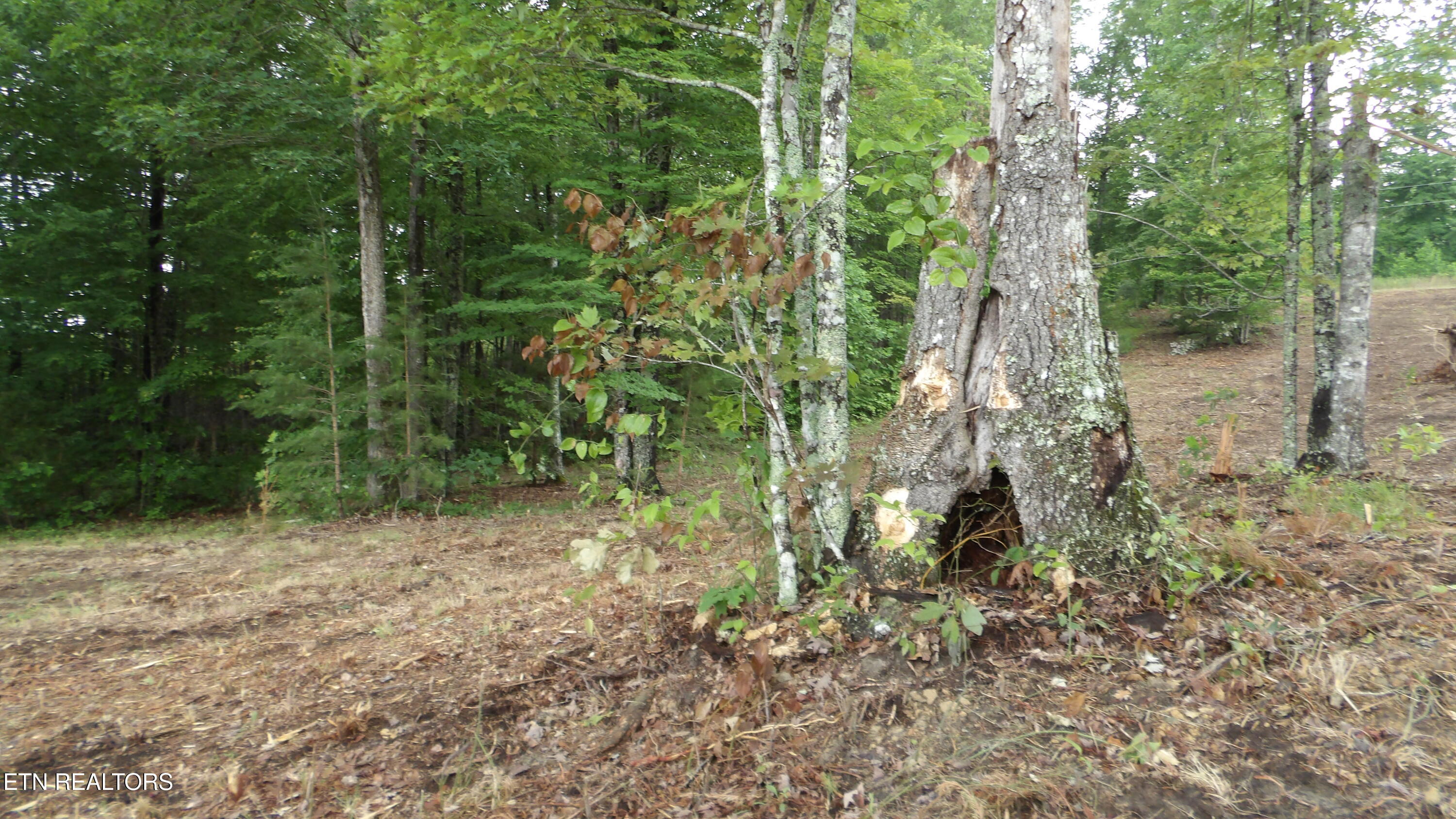 442 Valley View Circle Wilder TN 38589