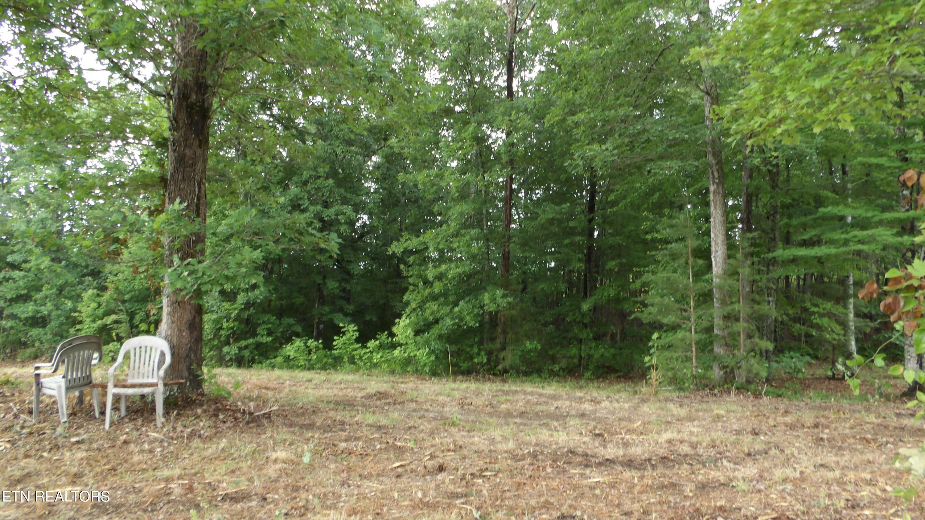 442 Valley View Circle Wilder TN 38589