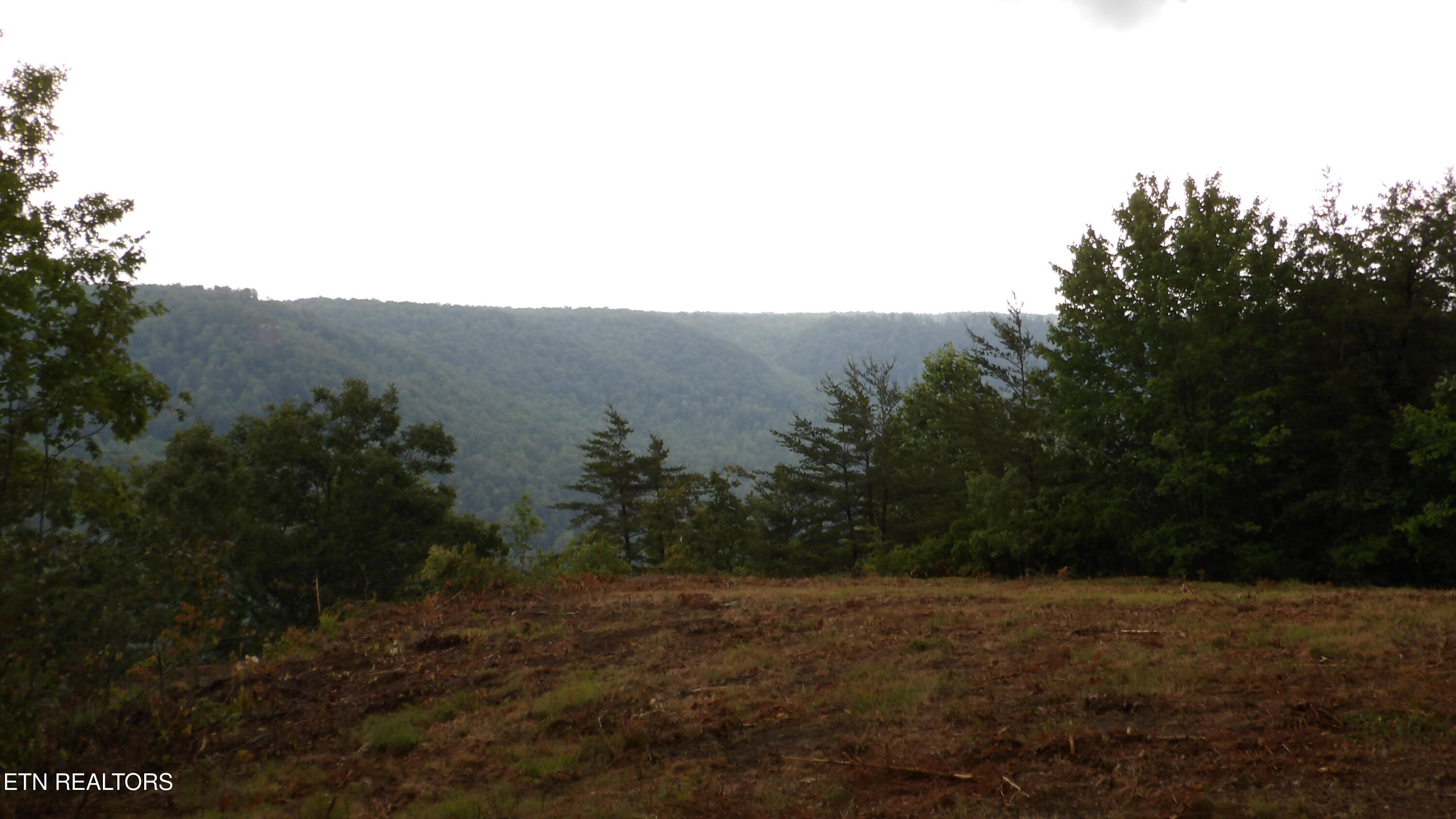442 Valley View Circle Wilder TN 38589
