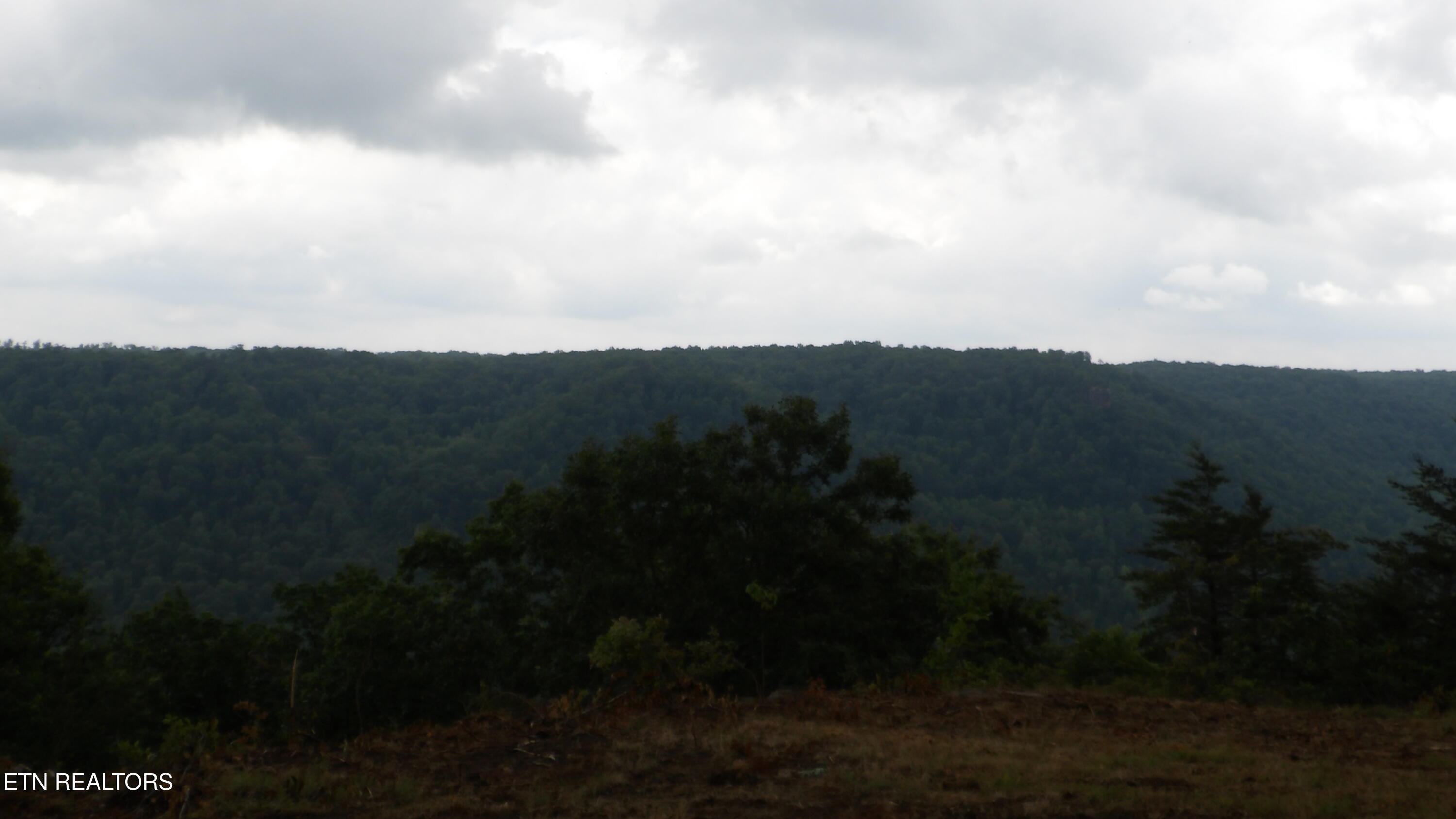 442 Valley View Circle Wilder TN 38589