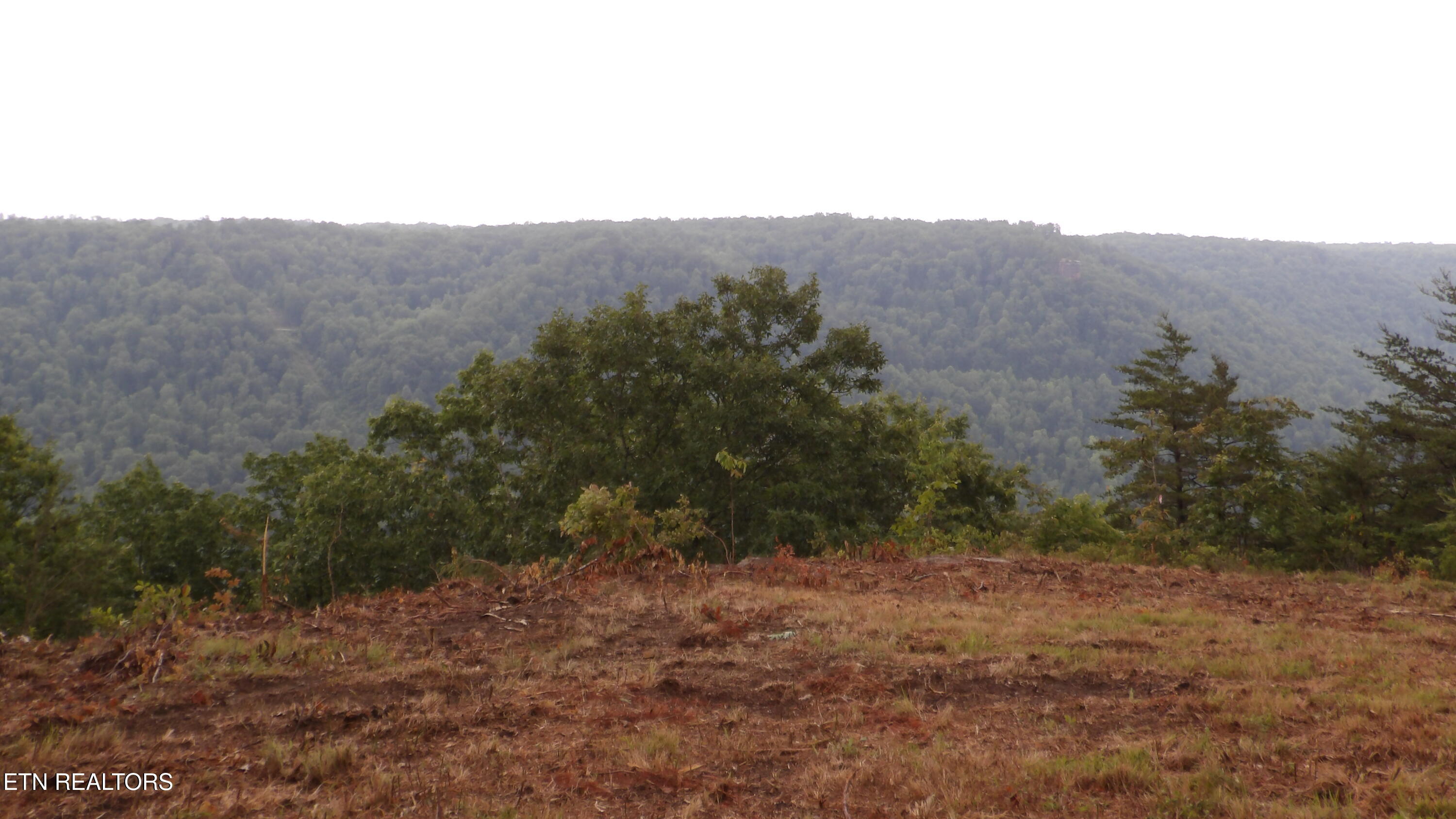 442 Valley View Circle Wilder TN 38589