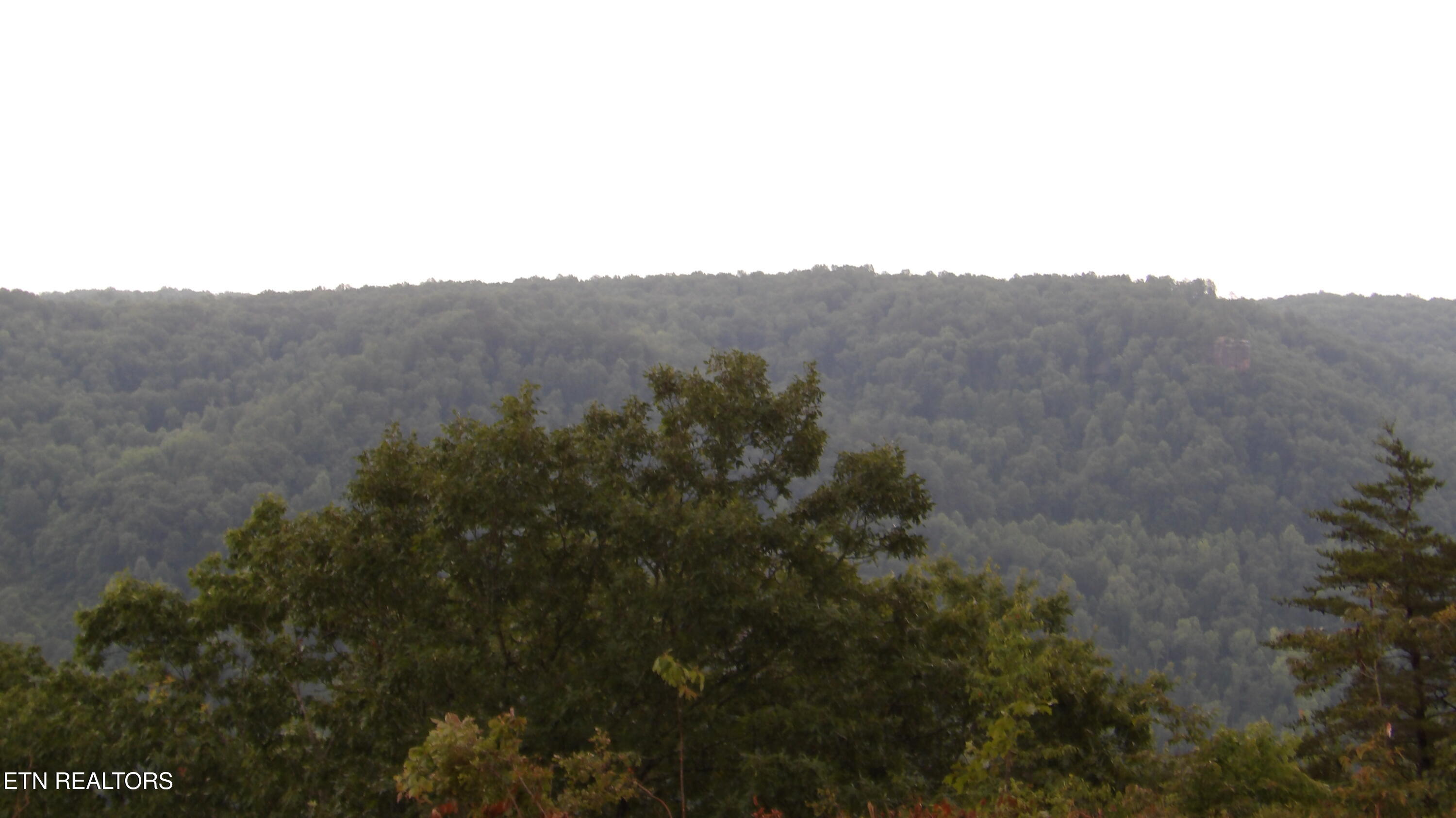 442 Valley View Circle Wilder TN 38589